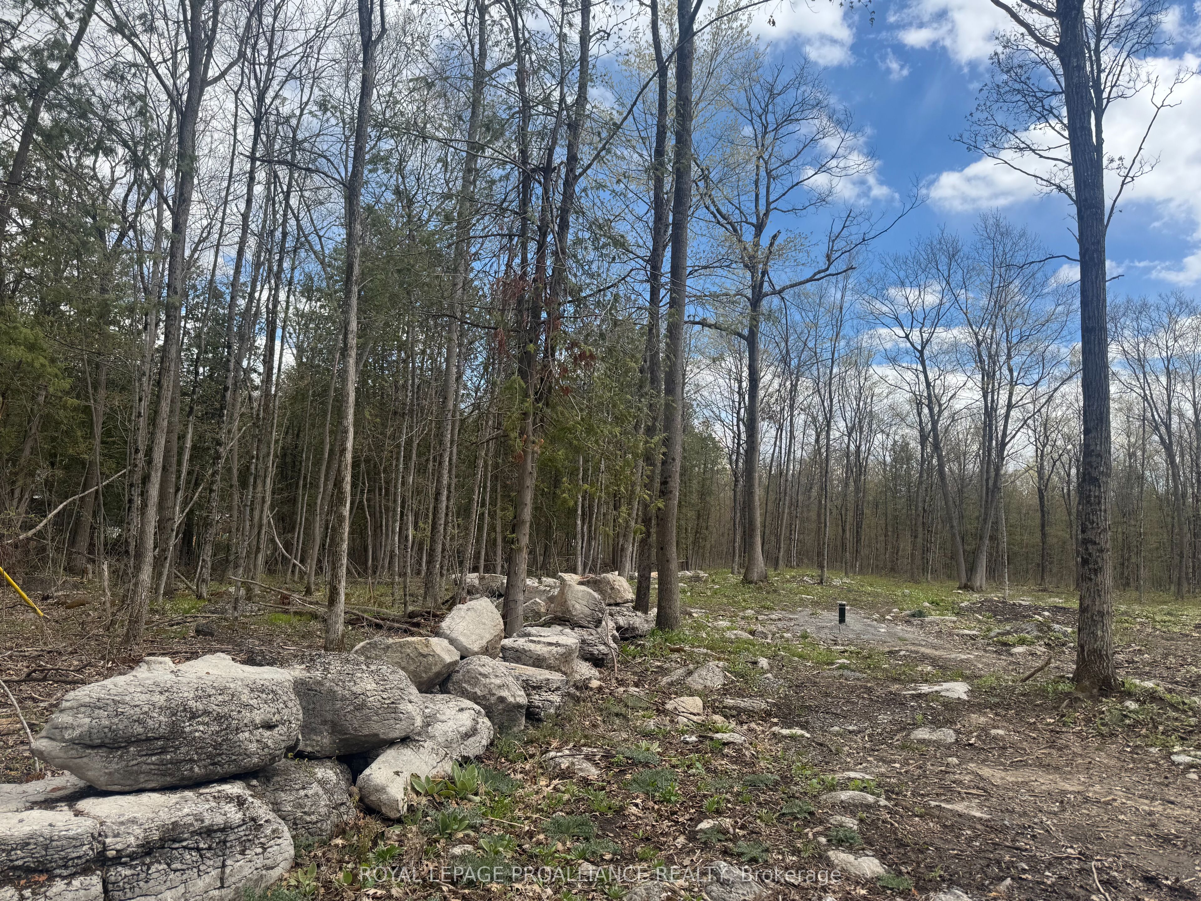 378 Station Road, Marmora and Lake, ON K0K 2M0 photo 4