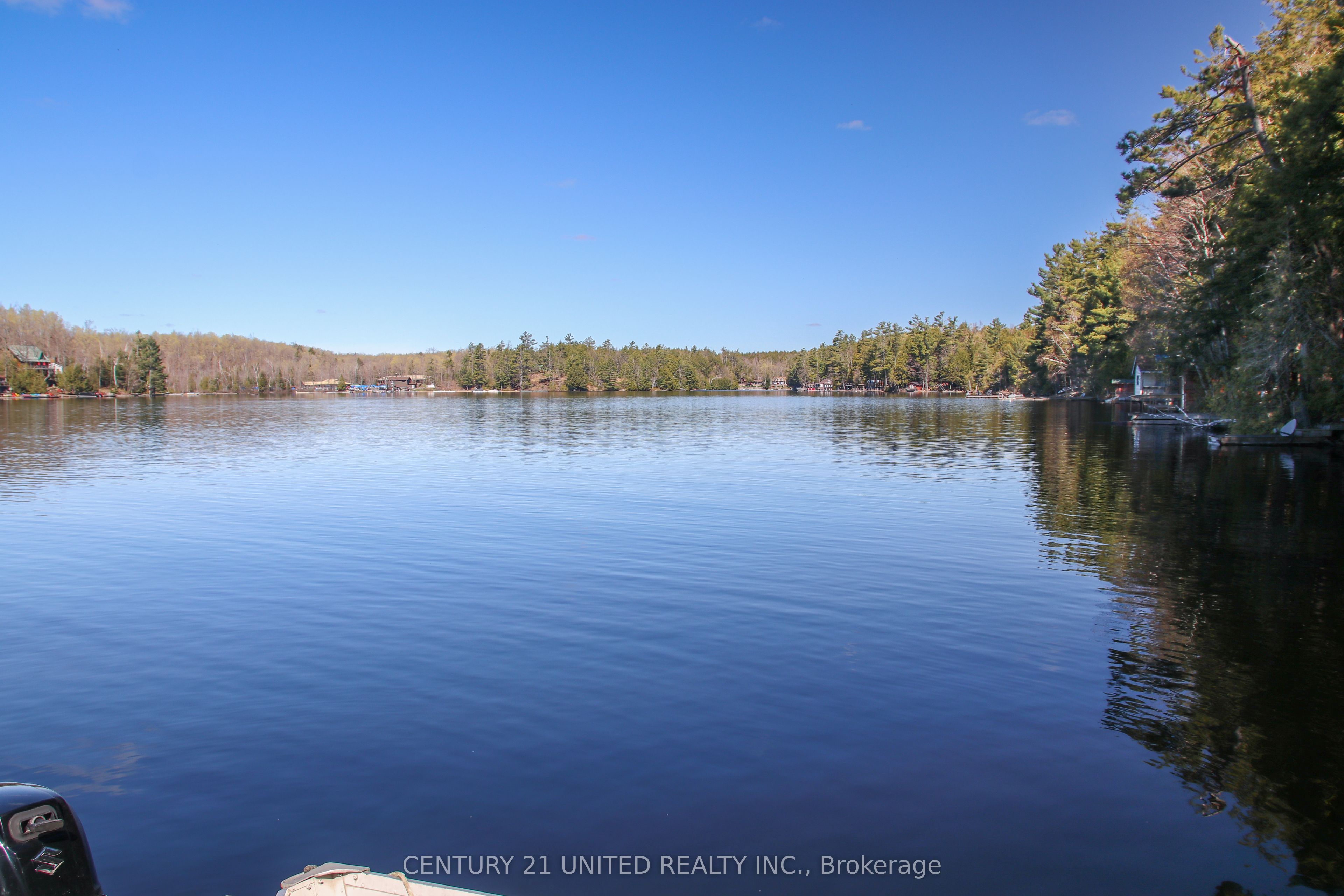 812 Island 8 Catchacoma Lake, Trent Lakes, ON K0L 1J0 photo 5