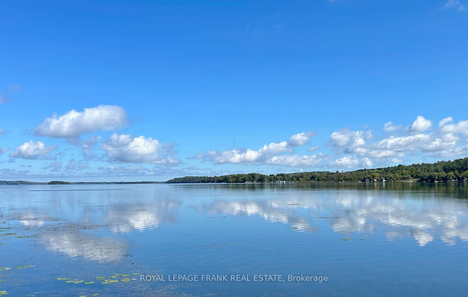 2A Whites Island, Alnwick/Haldimand, ON K0K 2X0 photo 2