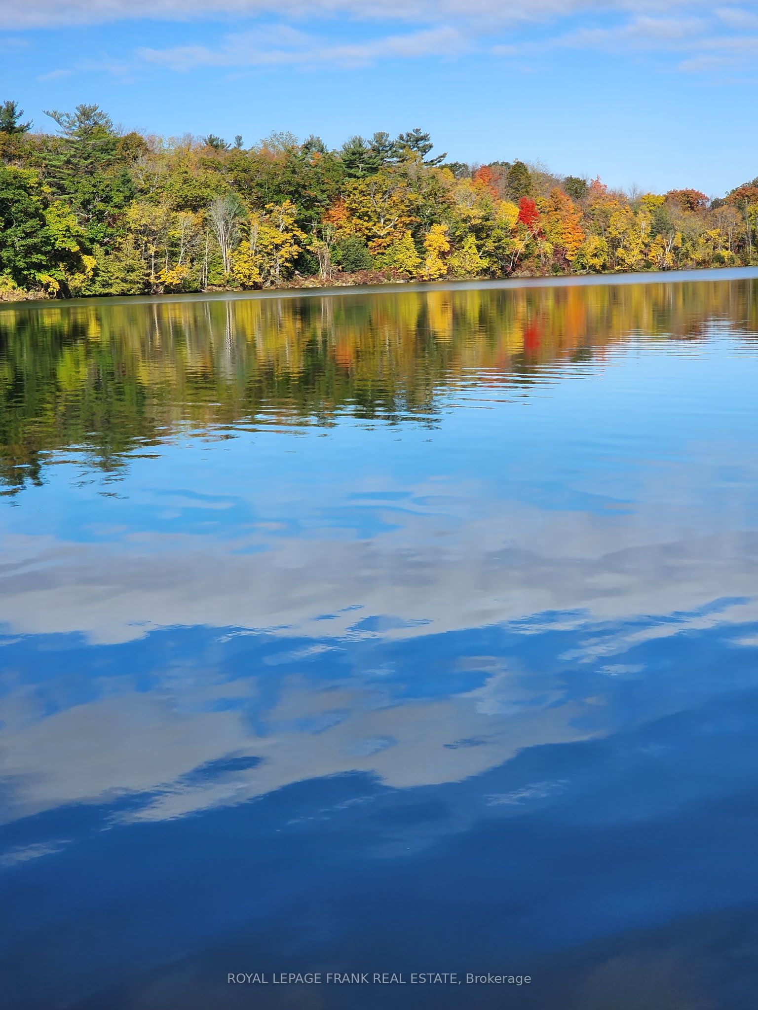 2A Whites Island, Alnwick/Haldimand, ON K0K 2X0 photo 4