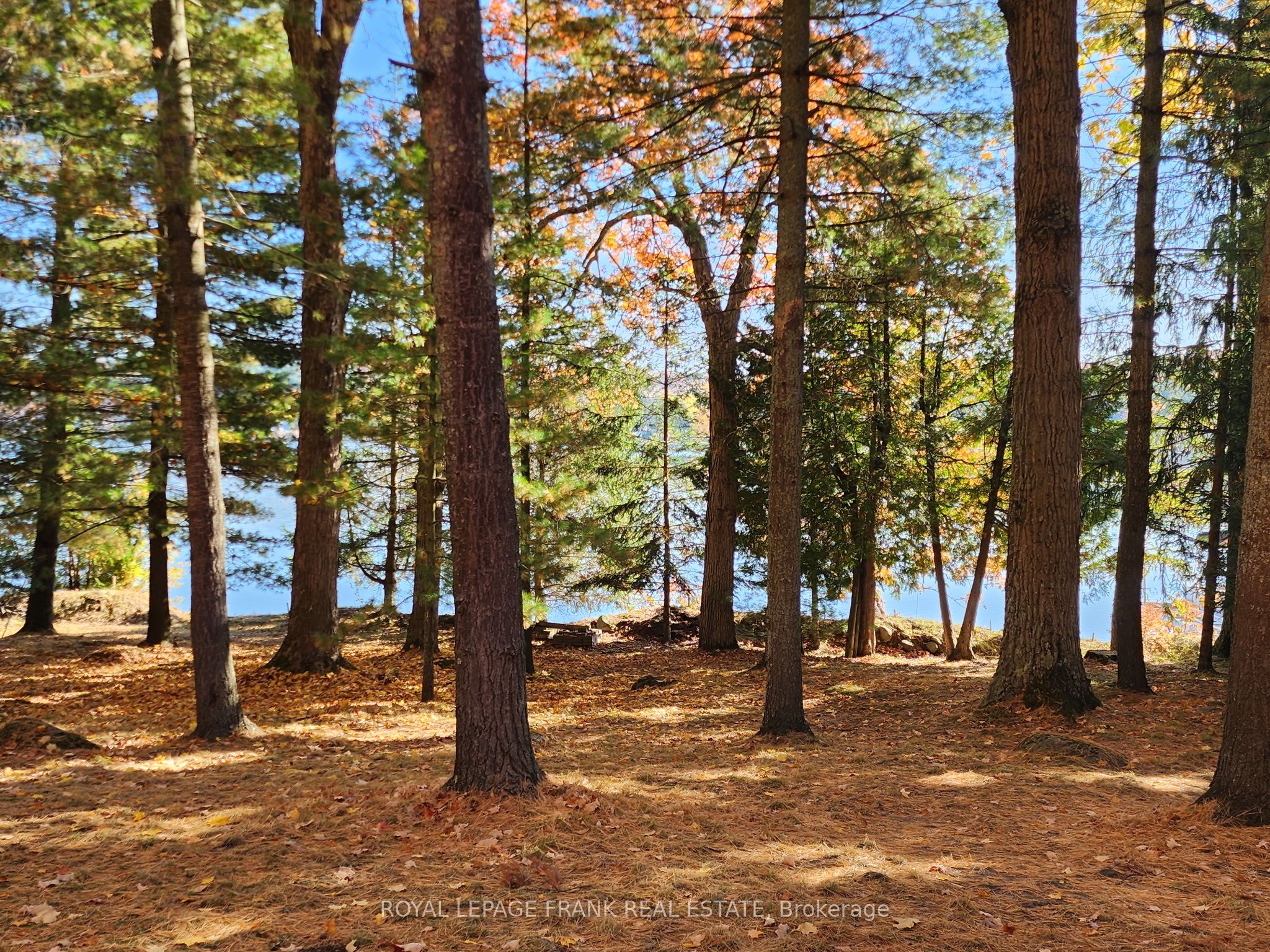 2A Whites Island, Alnwick/Haldimand, ON K0K 2X0 photo 5