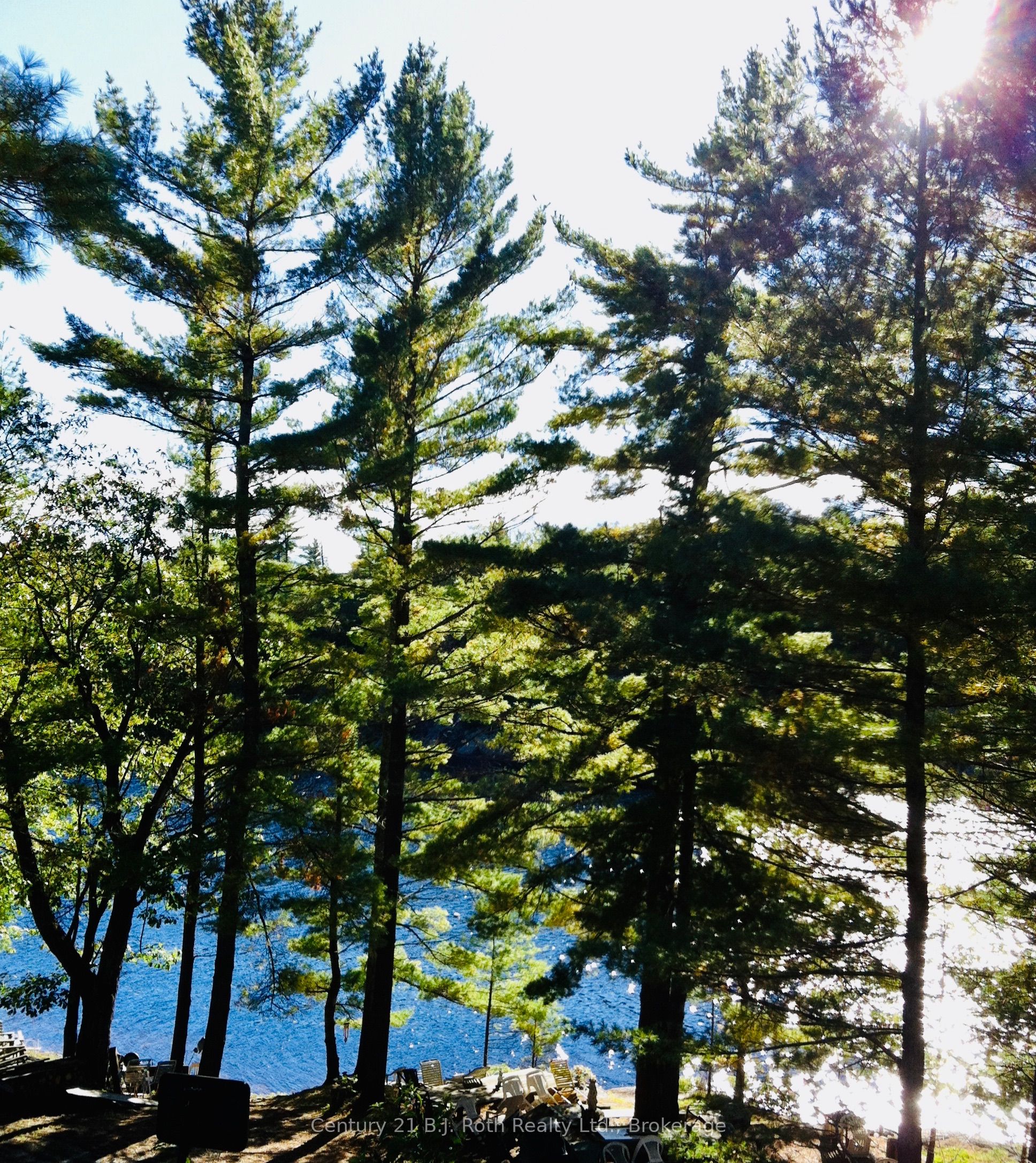 2 - 1112 Sam Cook Road, Gravenhurst, ON P1P 1R3 photo 5
