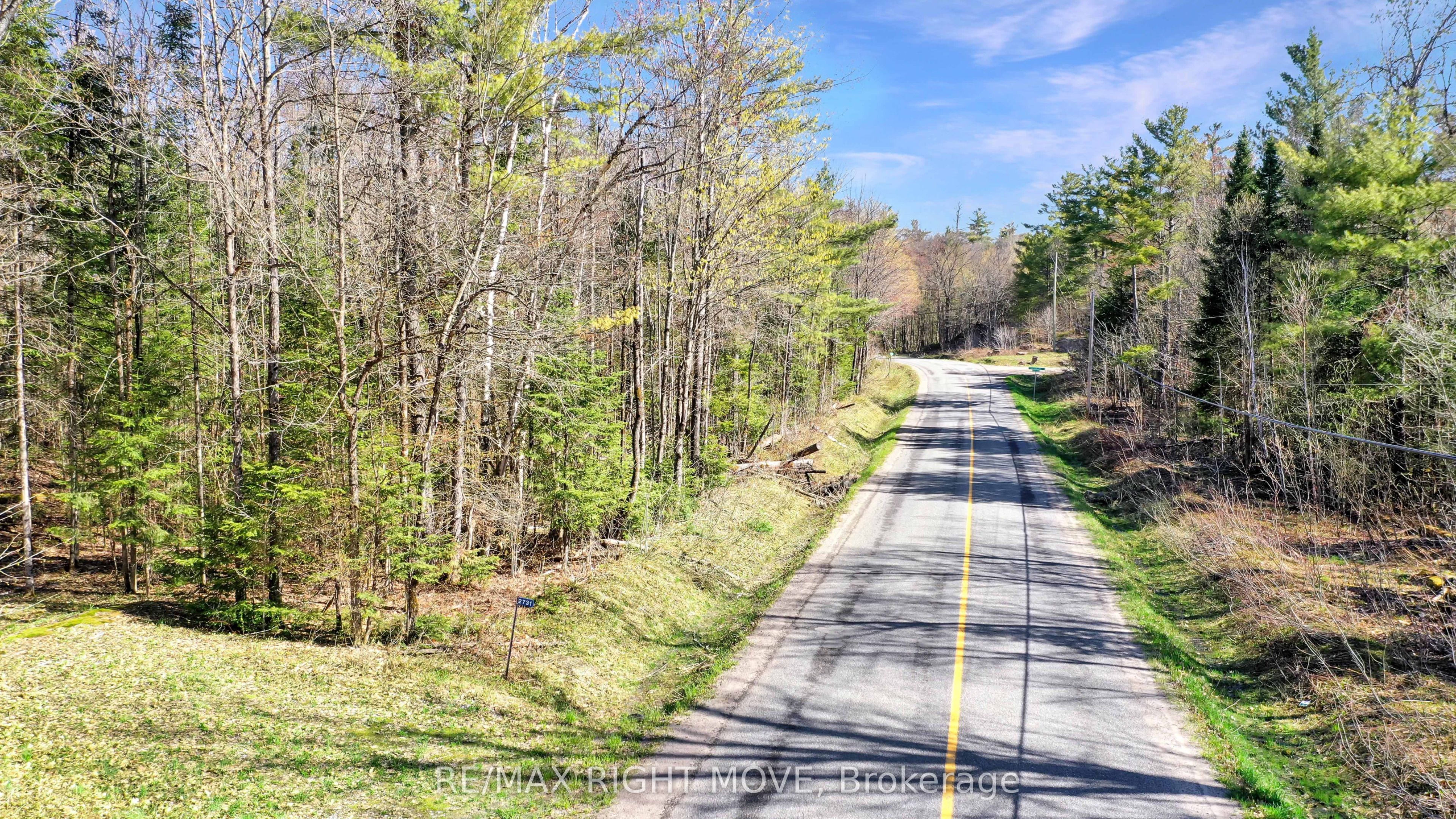 2731 Southwood Road, Gravenhurst, ON P0E 1G0 photo 3