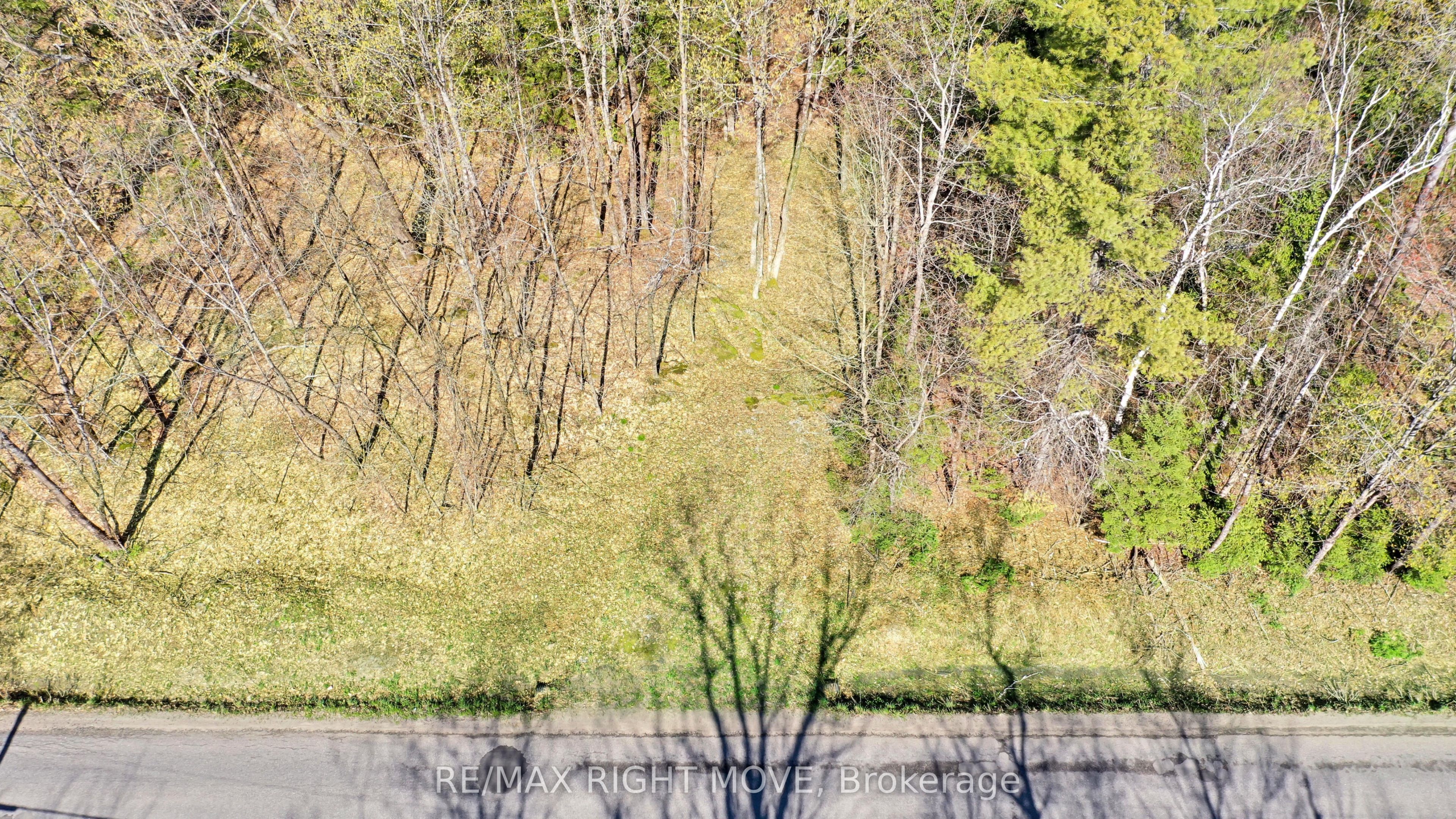 2731 Southwood Road, Gravenhurst, ON P0E 1G0 photo 4