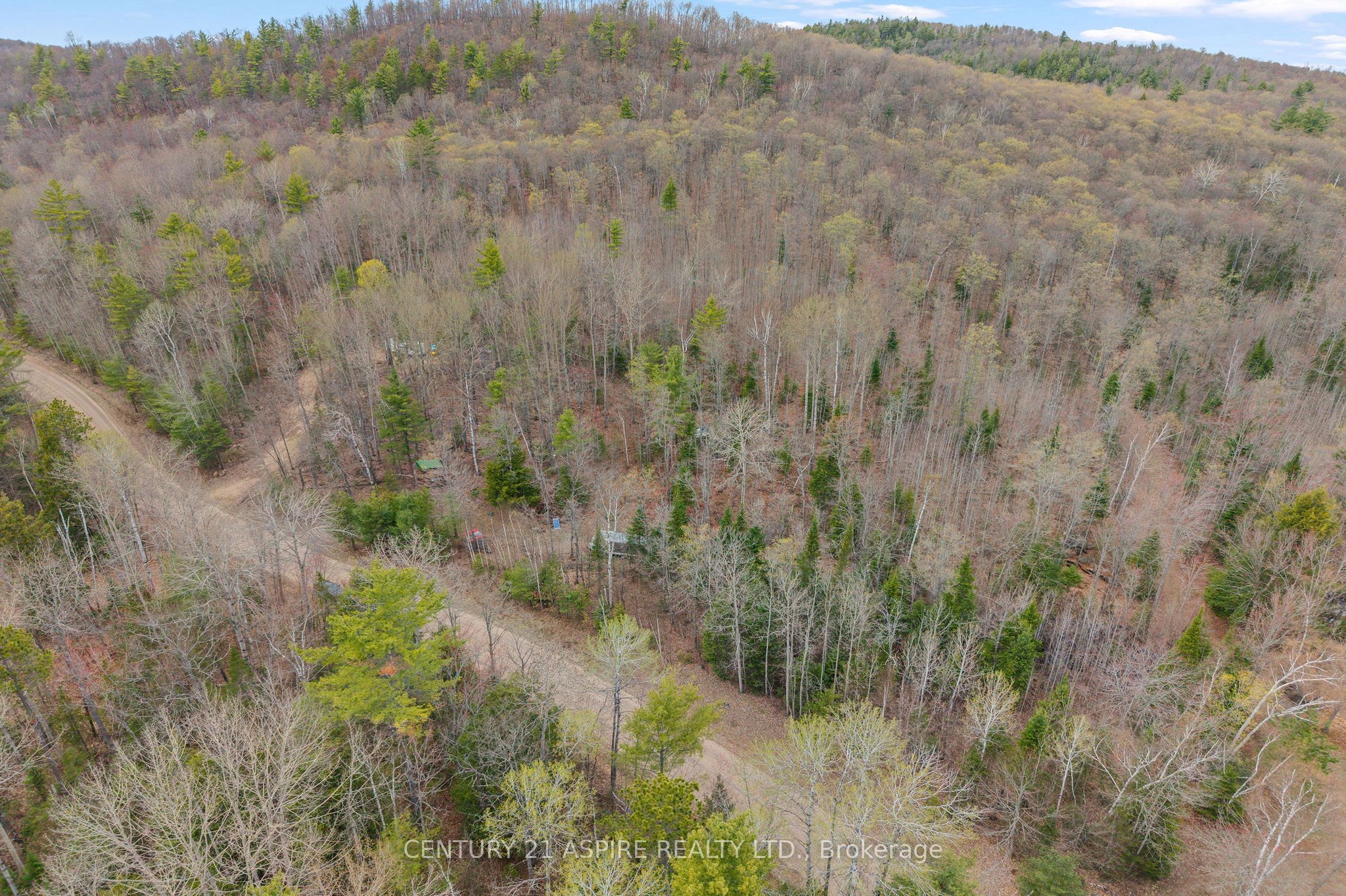 11066 Opeongo Road, Madawaska Valley, ON K0J 1B0