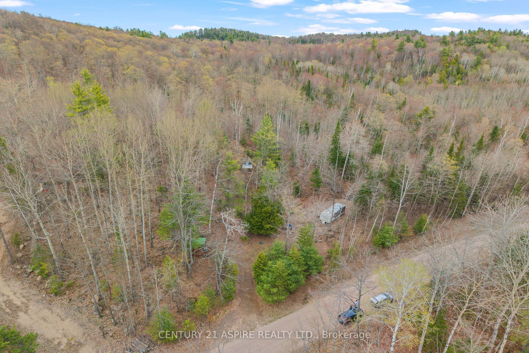 11066 Opeongo Road, Madawaska Valley, ON K0J 1B0 photo 2