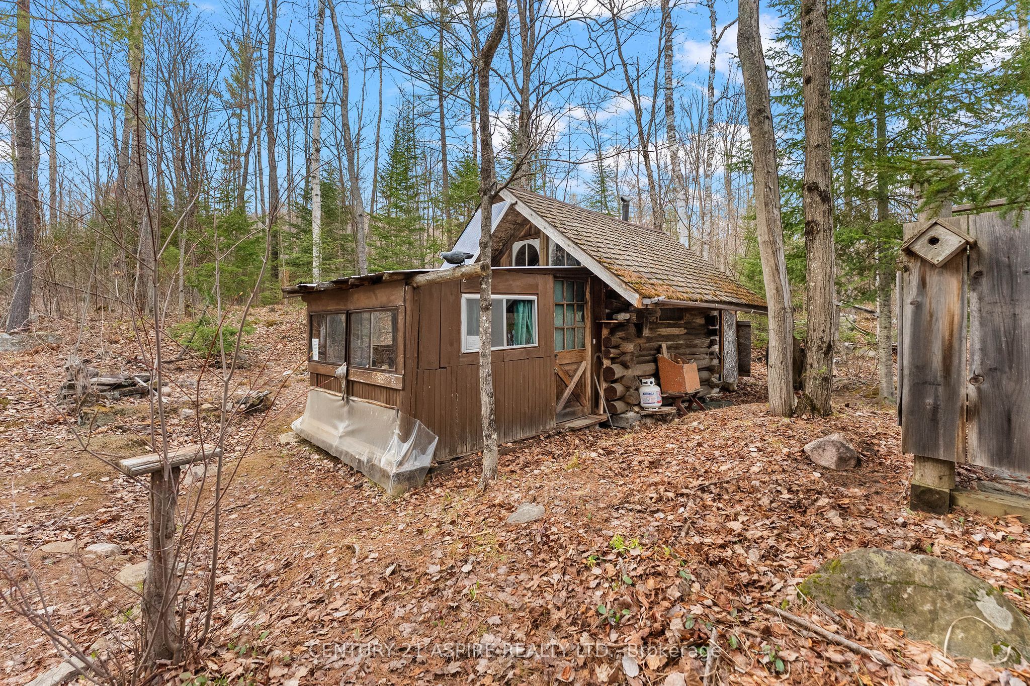 11066 Opeongo Road, Madawaska Valley, ON K0J 1B0 photo 4