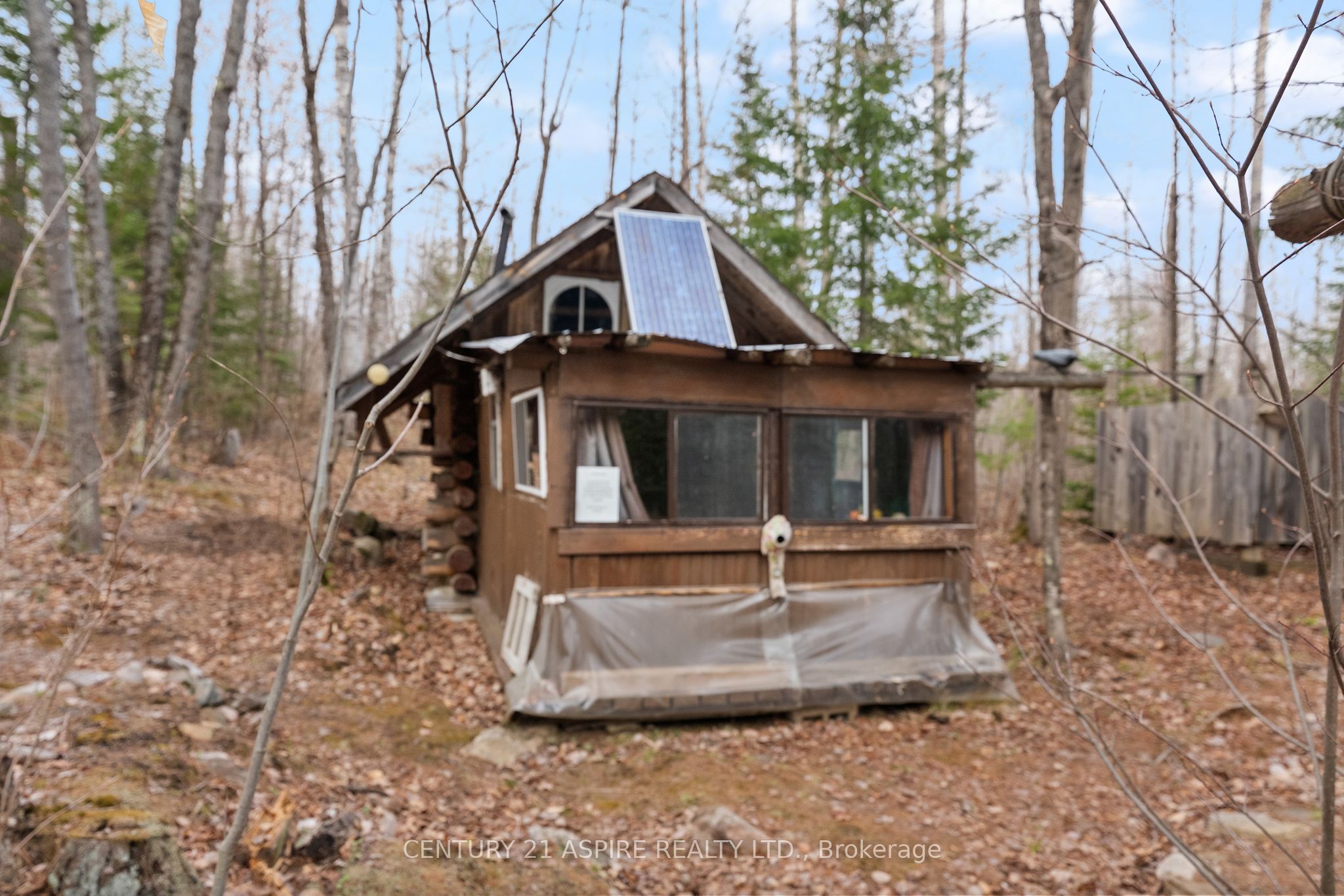 11066 Opeongo Road, Madawaska Valley, ON K0J 1B0 photo 5