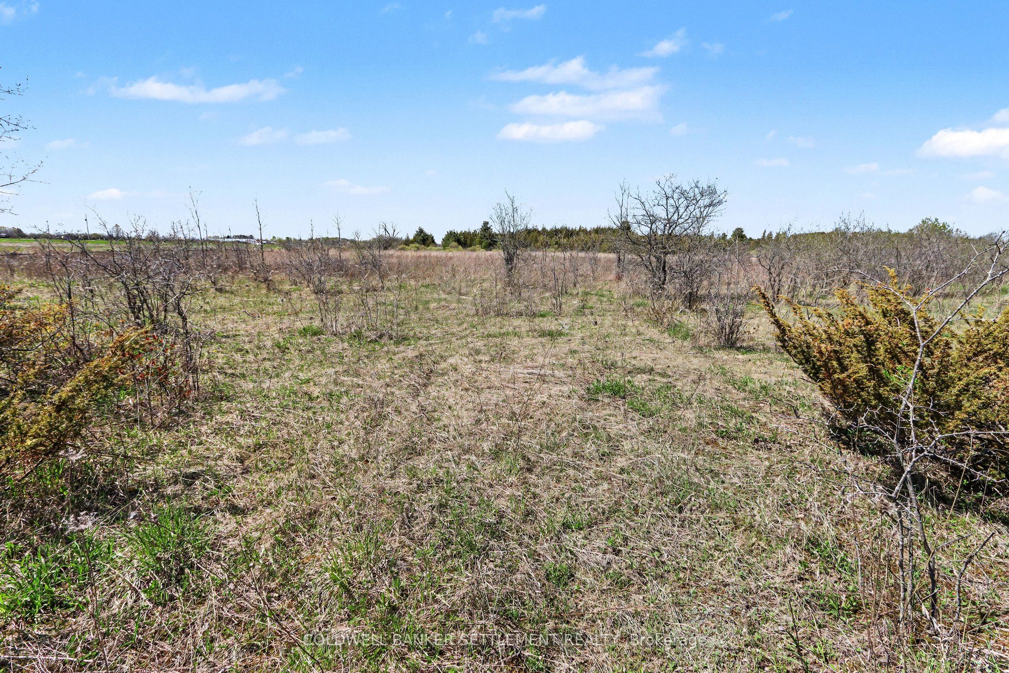 0 Drummond Concession 1 Road, Drummond/North Elmsley, ON K7H 3C7 photo 4