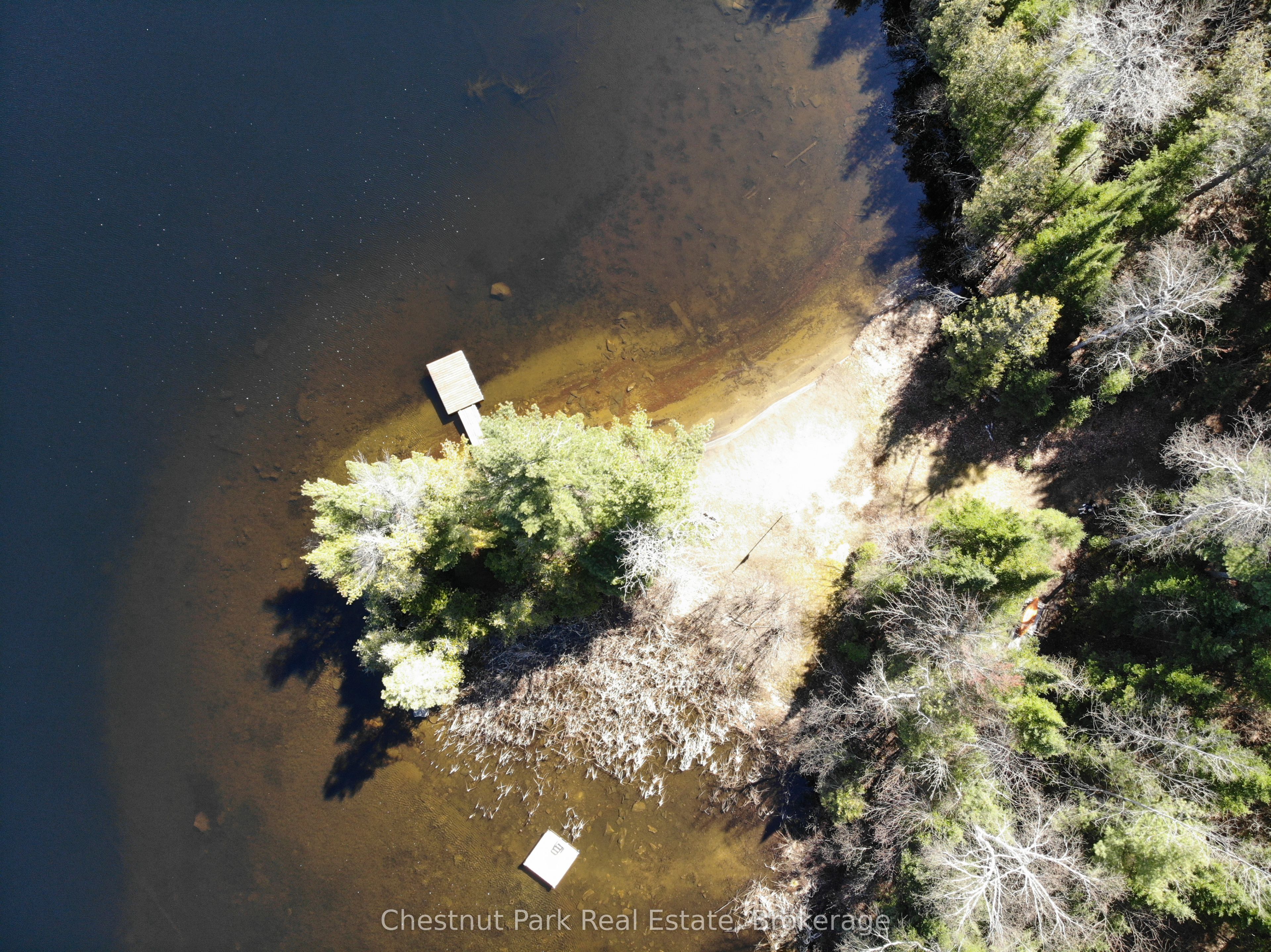 10453 County Road 503 Road, Highlands East, ON K0M 1R0 photo 4