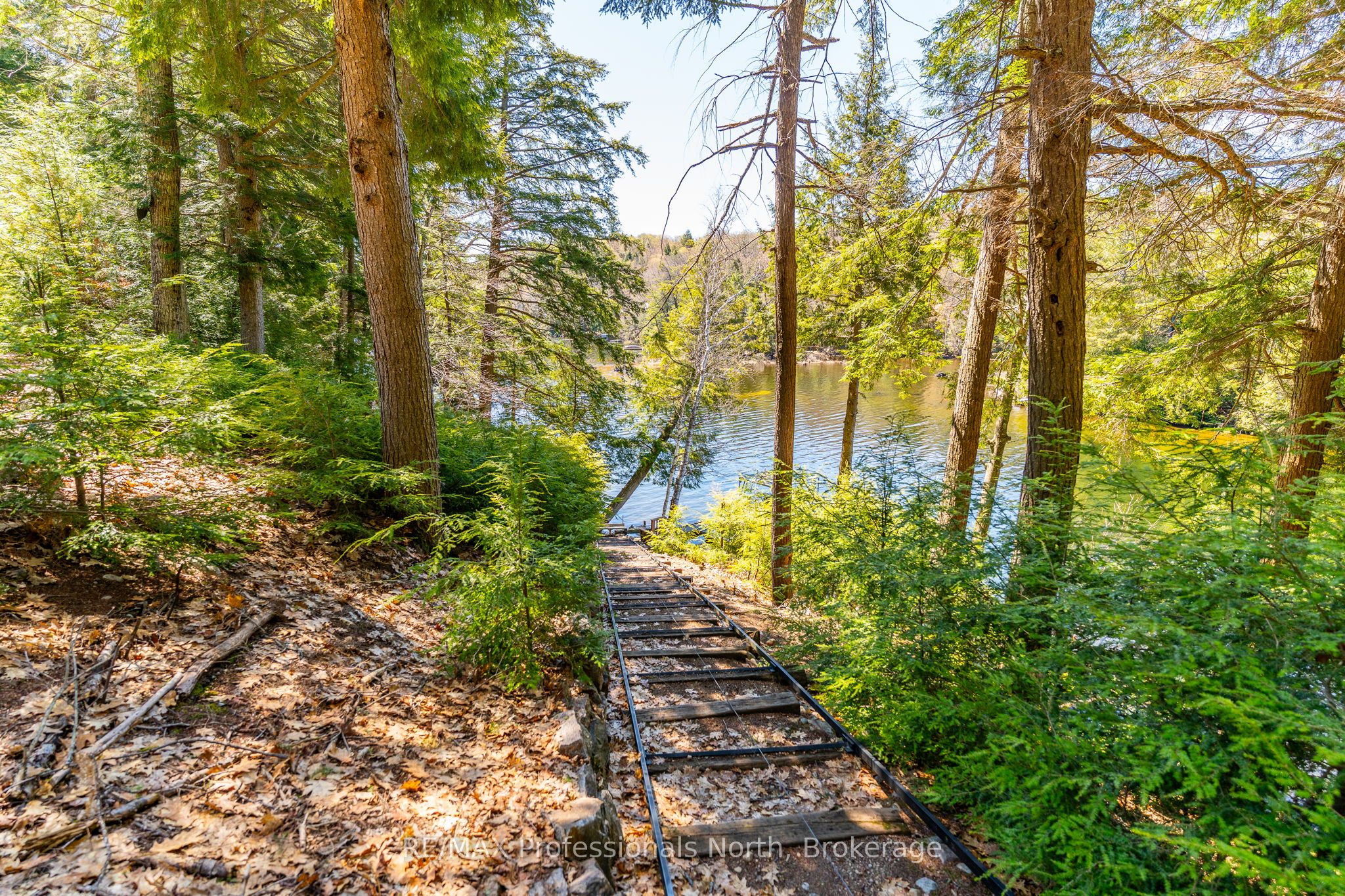 10469 Little Hawk Lake WAO N/A, Algonquin Highlands, ON K0M 1S0 photo 5