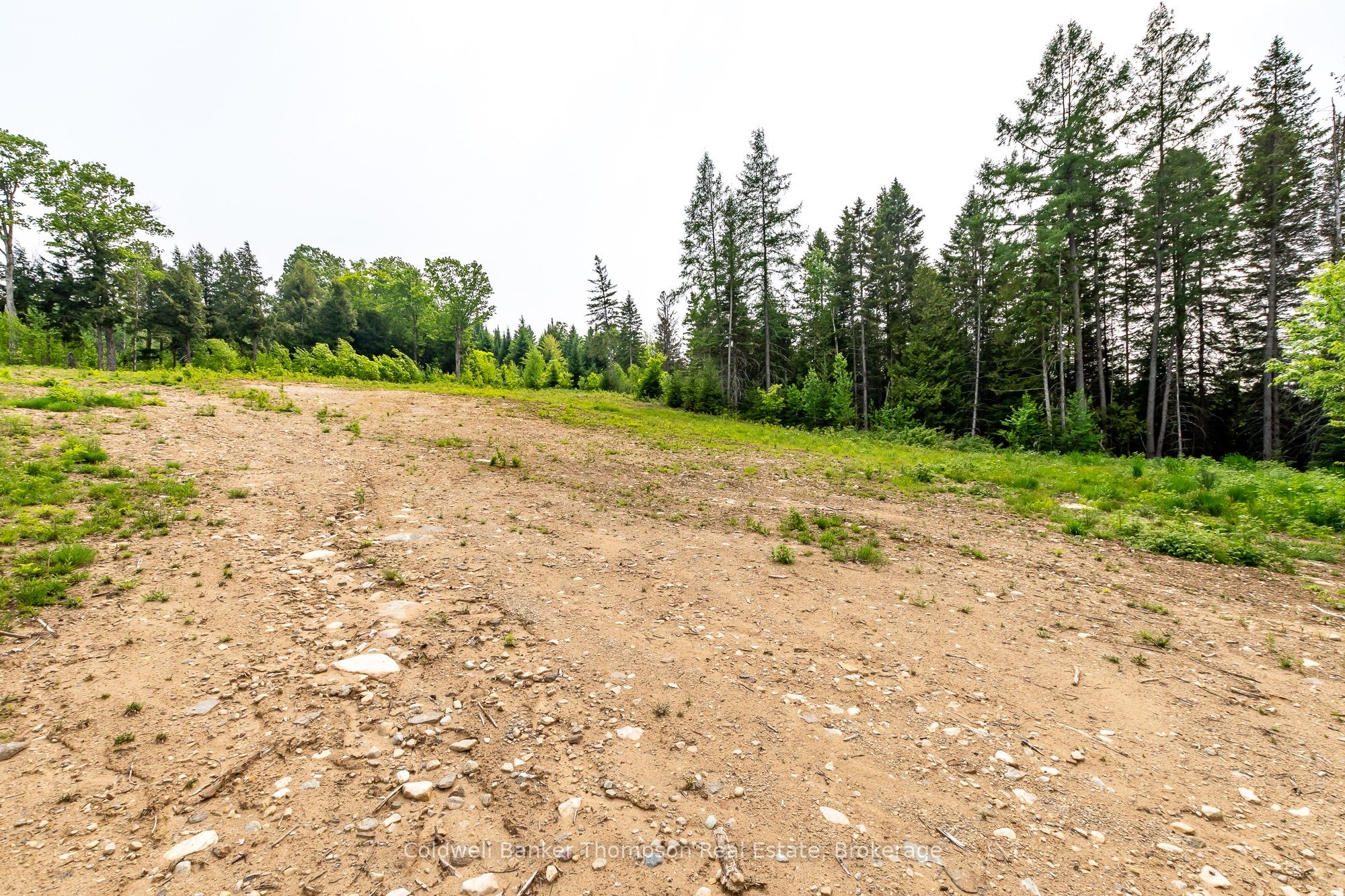 223 Peggs Mountain Road, Armour, ON P0A 1C0 photo 4