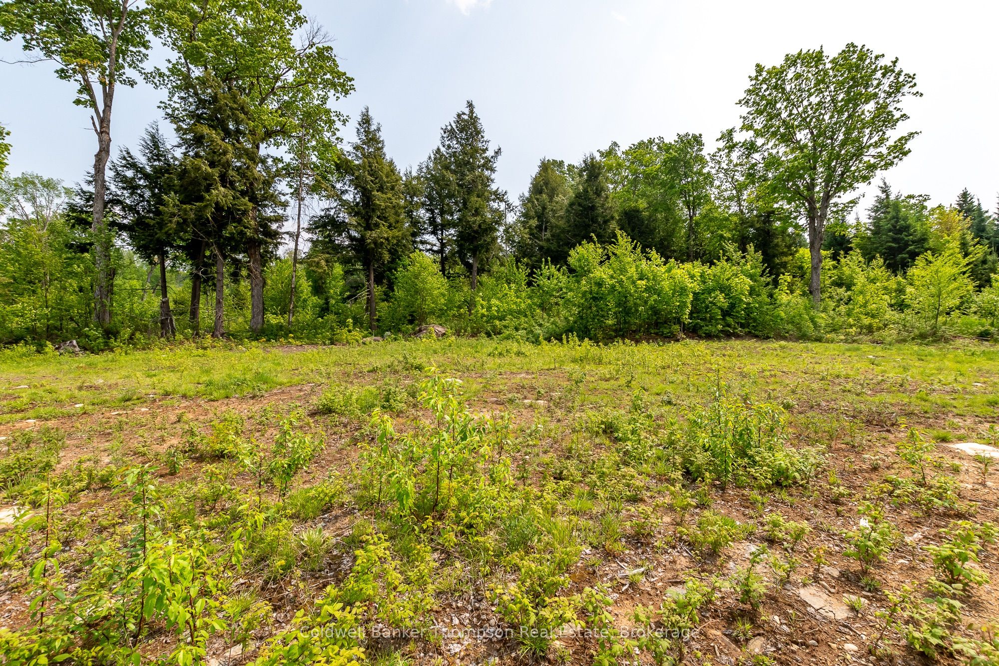 223 Peggs Mountain Road, Armour, ON P0A 1C0 photo 5
