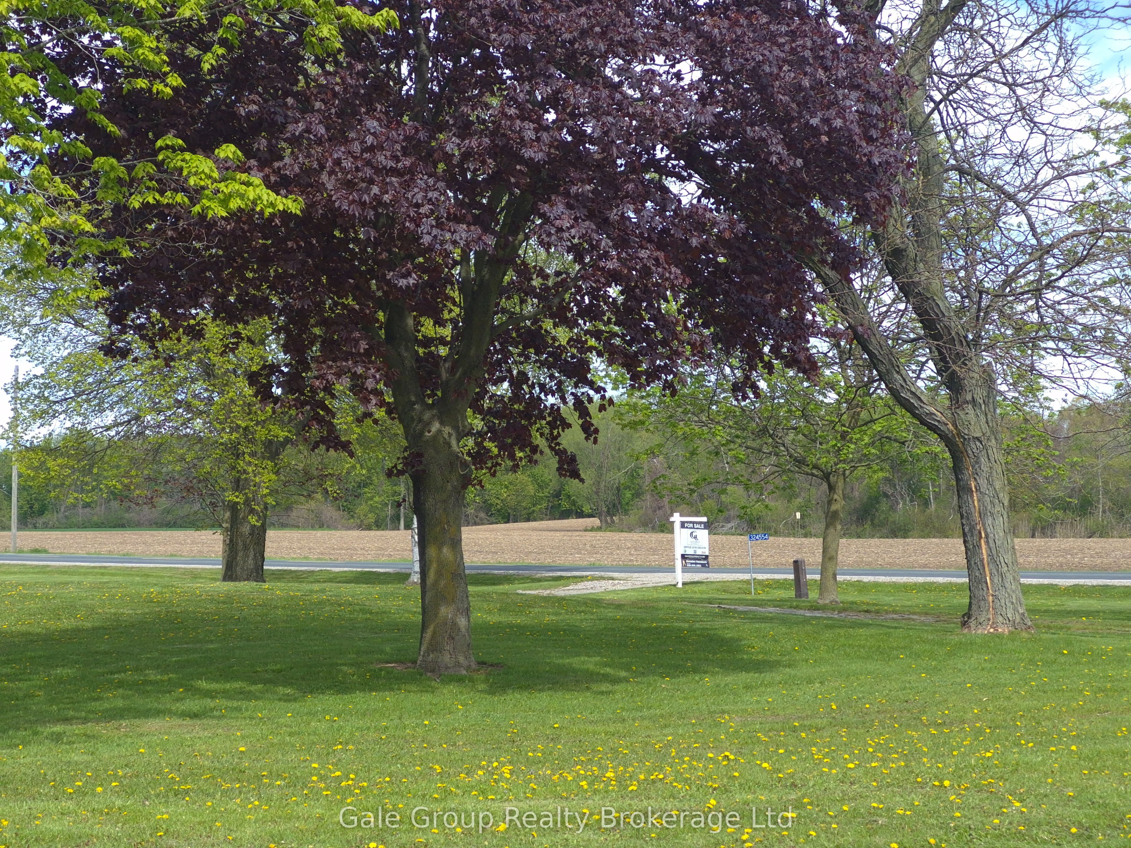 324554 Mount Elgin Road, South-West Oxford, ON N0J 1N0 photo 4