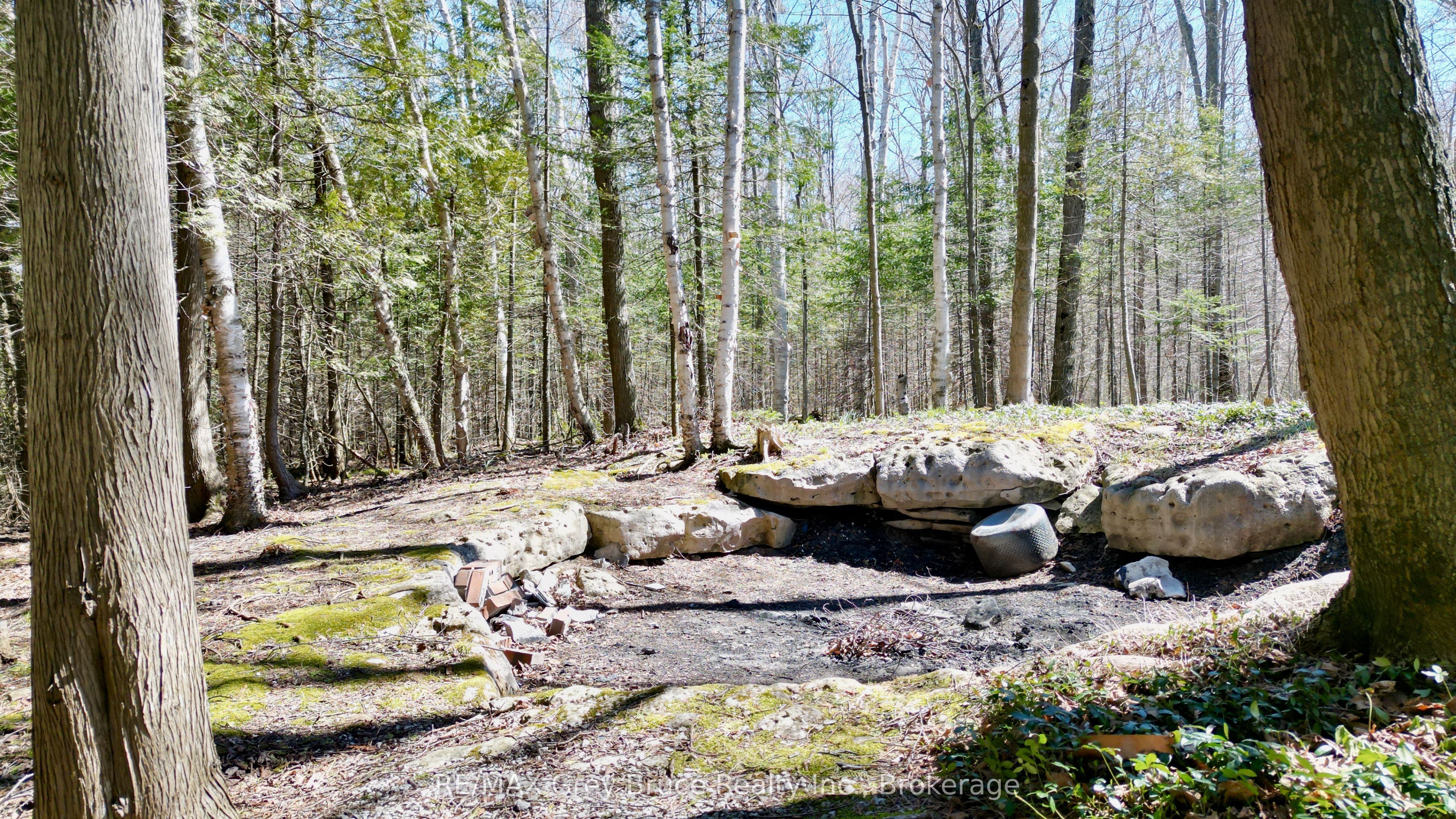 120 Tammy's Cove Road, Northern Bruce Peninsula, ON N0H 1W0 photo 5