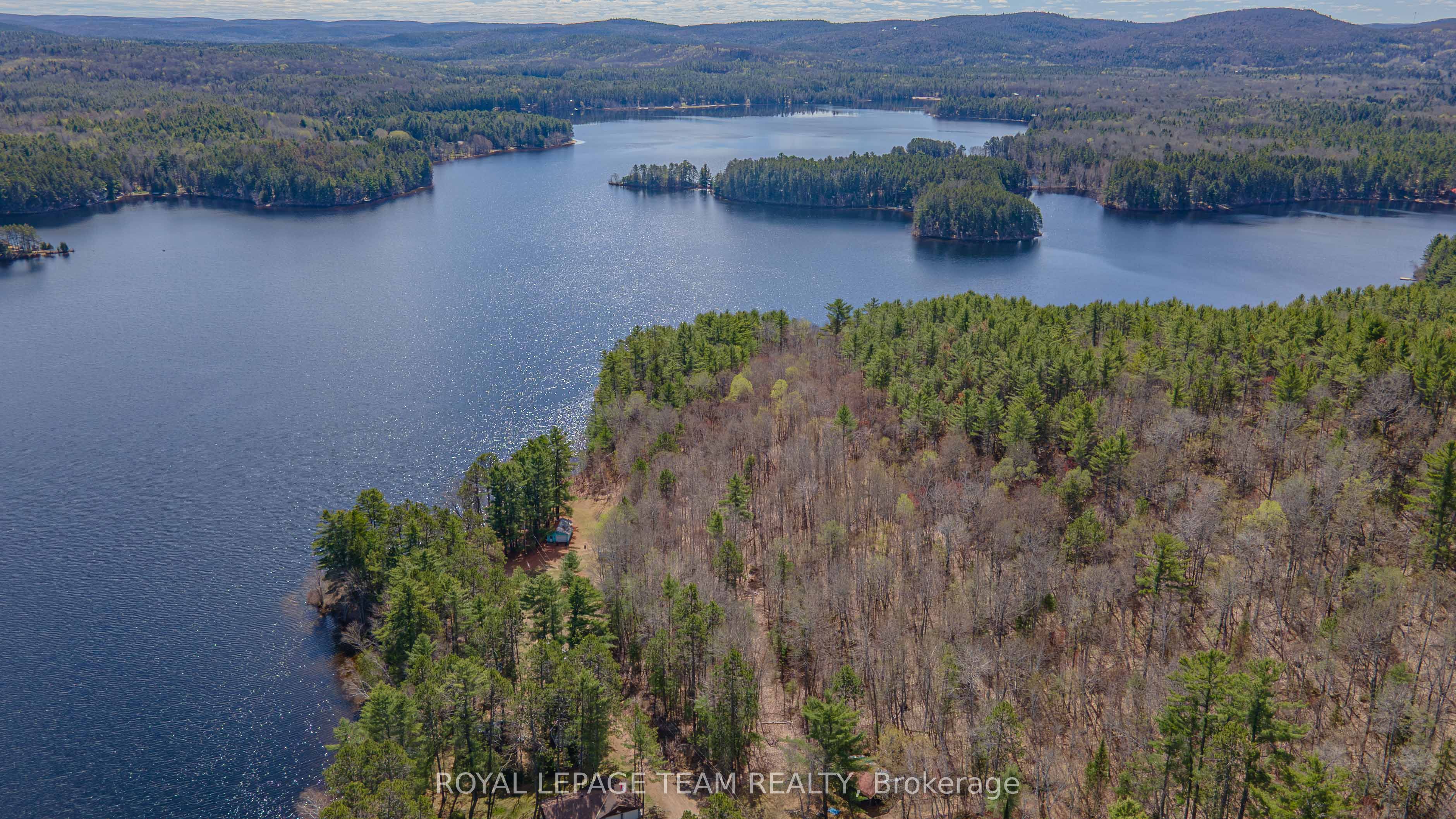 95 Lorbetskie Road, Madawaska Valley, ON K0J 1B0 photo 3