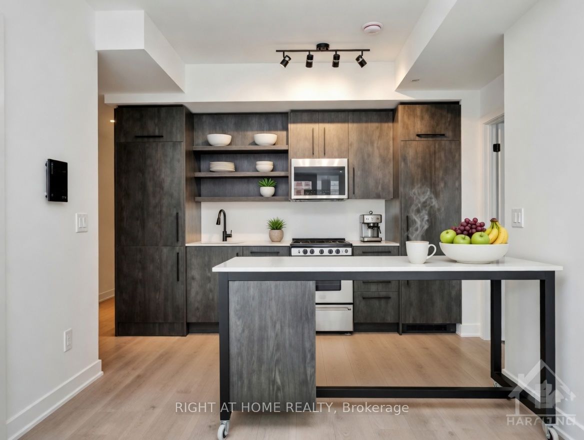 560 Rideau Street 205, Lower Town - Sandy Hill, ON K1N 5Z8 photo 3