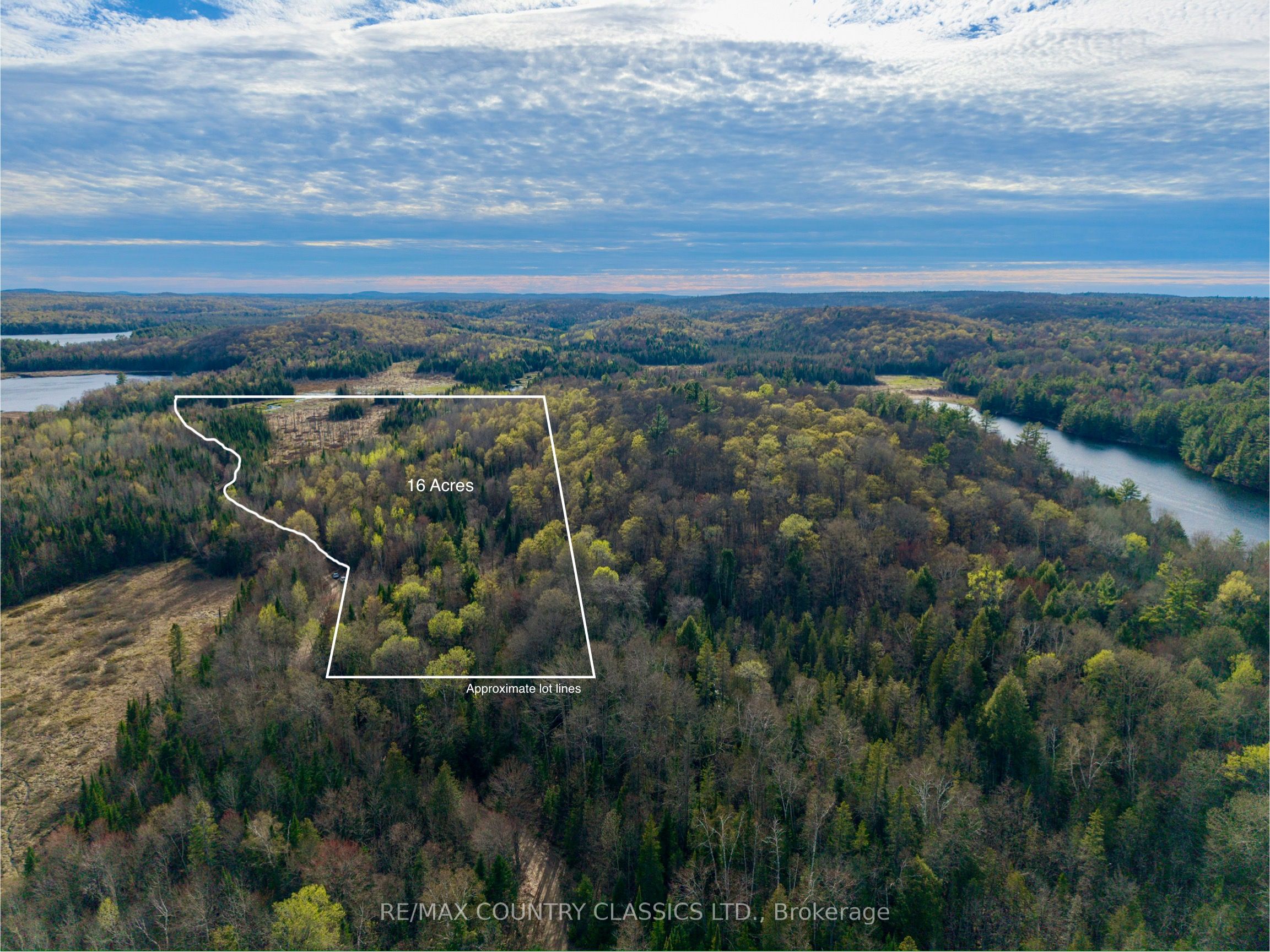 1374 Havensford Drive, Highlands East, ON K0L 1M0 photo 5