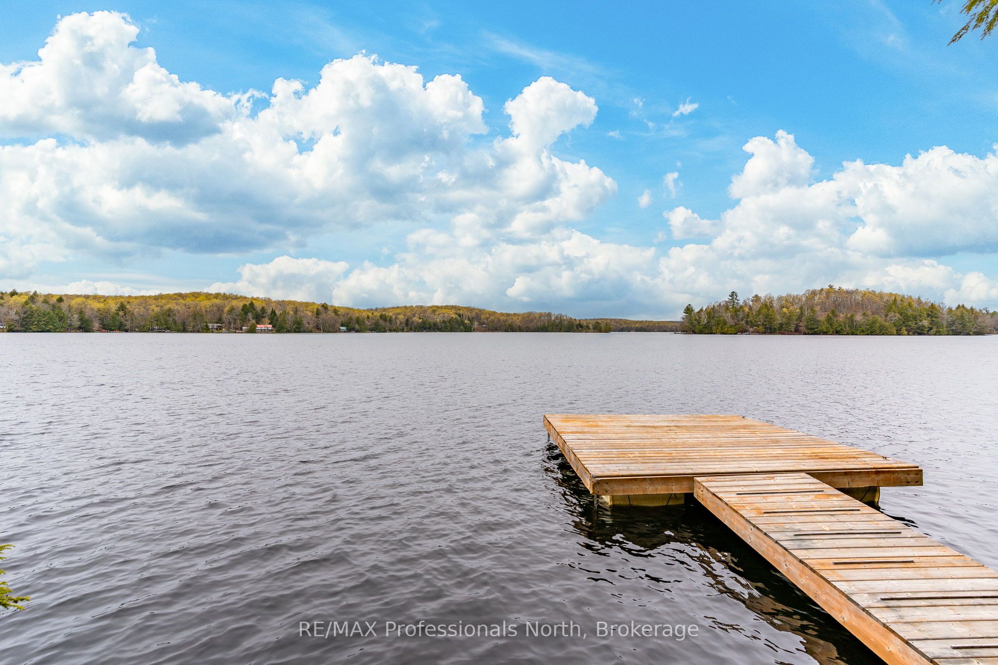 1201 Trellis Trail, Minden Hills, ON K0M 2K0 photo 5