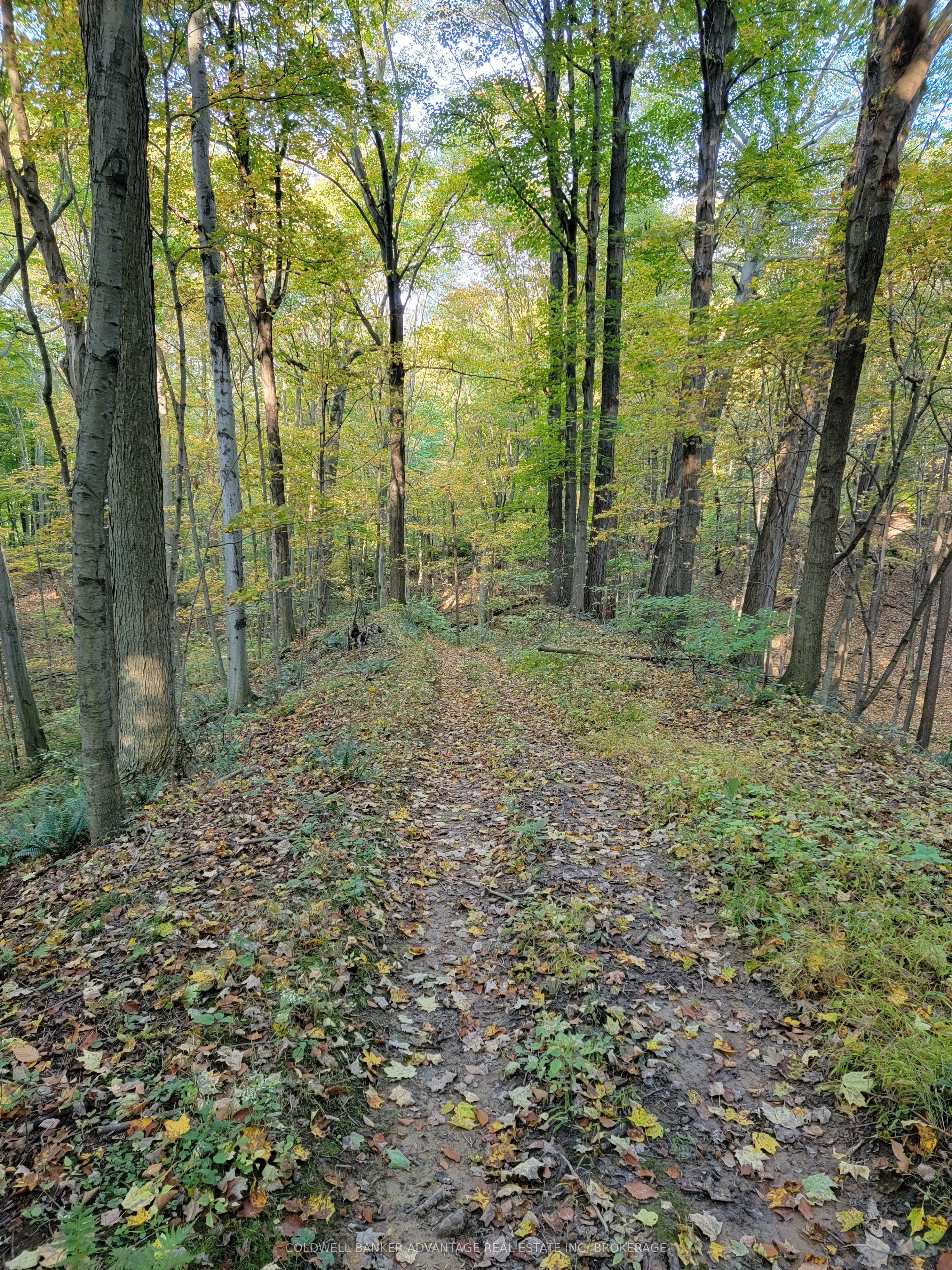 154&155 Lot, Thorold, ON L0S 1E6 photo 5