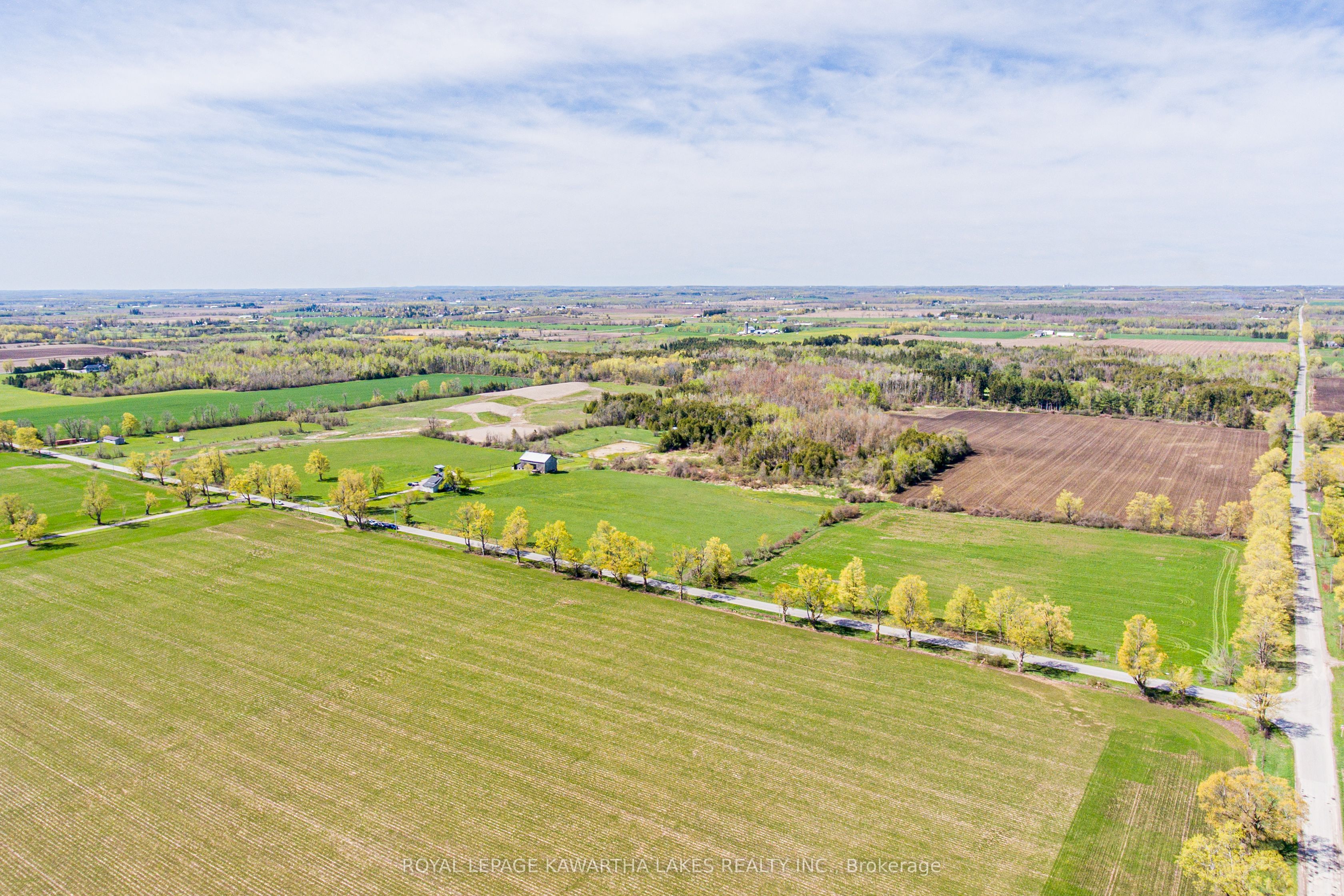 513 Taylors Road, Kawartha Lakes, ON K0M 2M0 photo 3