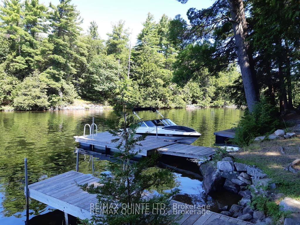 1549 Gull Lake Lane, Frontenac, ON K0H 1B0 photo 2