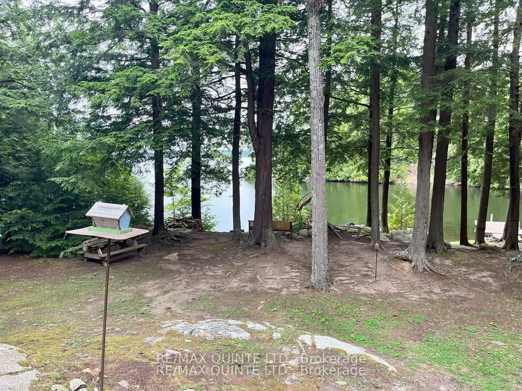 1549 Gull Lake Lane, Frontenac, ON K0H 1B0 photo 3