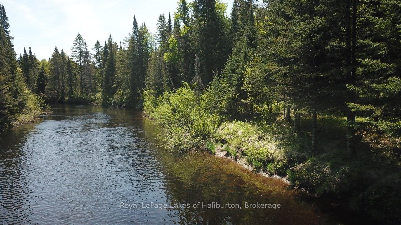 1880 Boldts Lane, Minden Hills, ON K0M 2A1 photo 2
