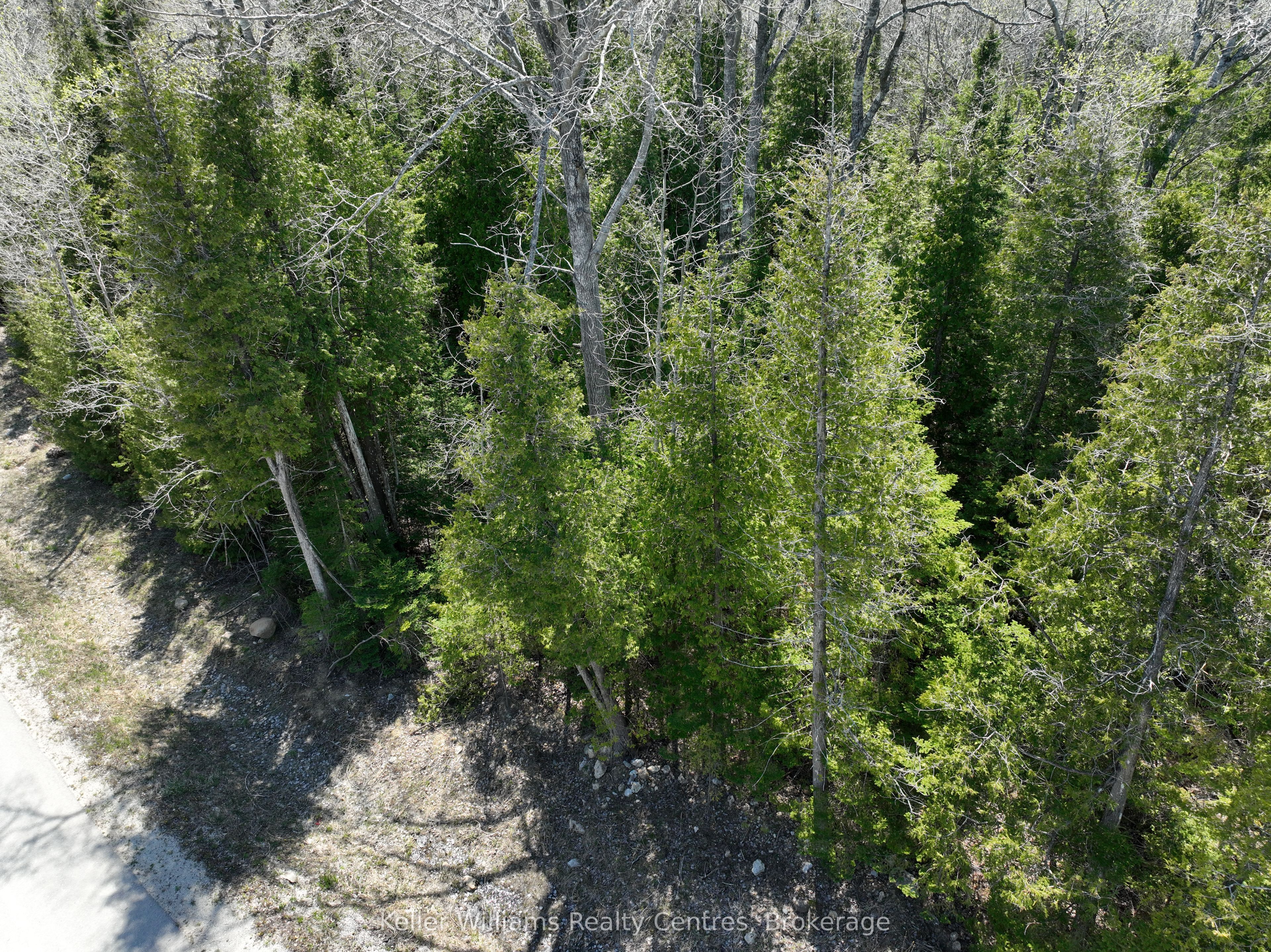Lot 10 Trillium Crossing N/A, Northern Bruce Peninsula, ON N0H 1W0 photo 4