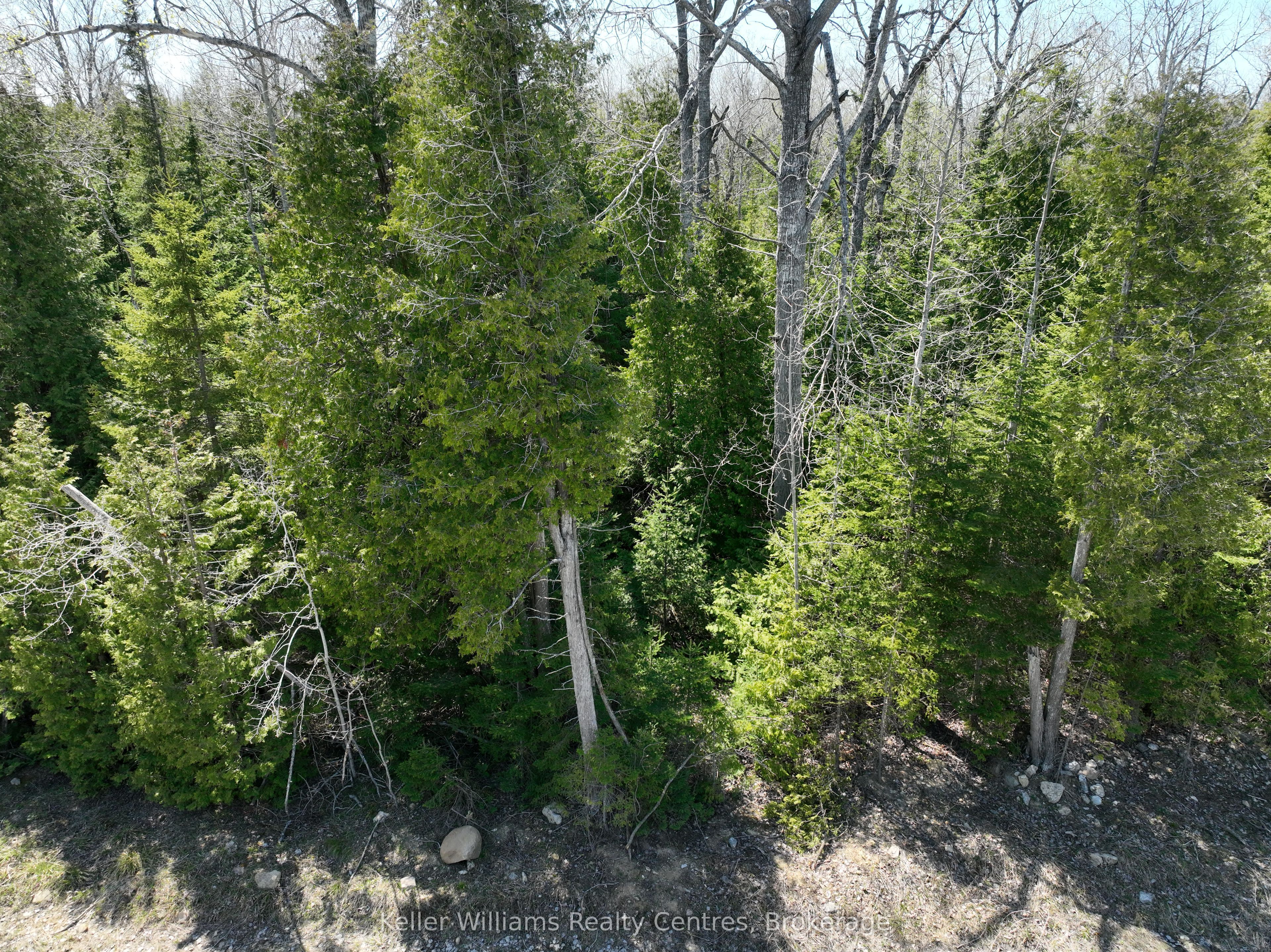 Lot 10 Trillium Crossing N/A, Northern Bruce Peninsula, ON N0H 1W0 photo 5