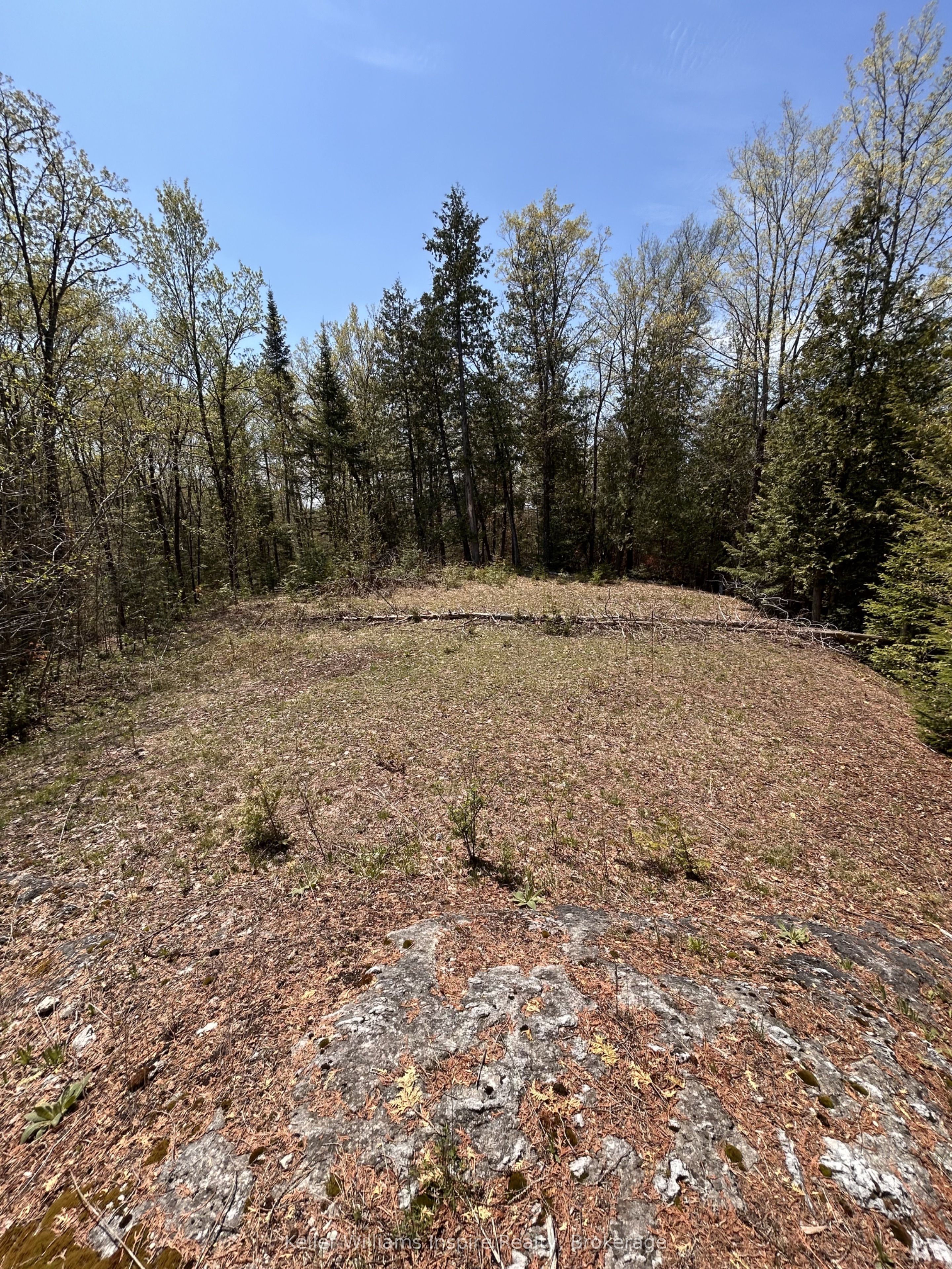 0 Highway 118, Faraday, ON K0L 1C0 photo 2