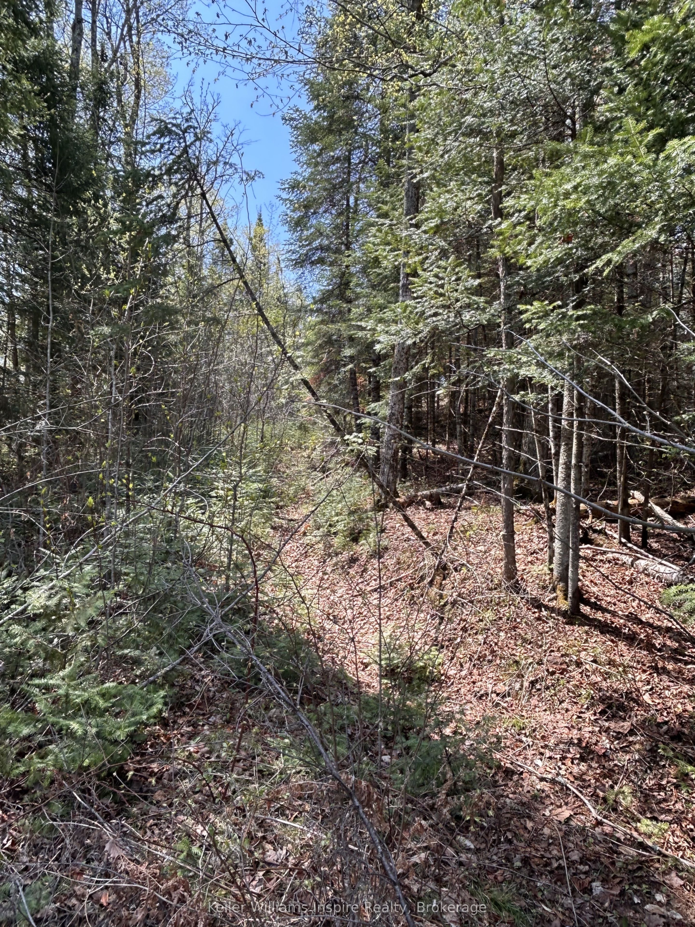 0 Highway 118, Faraday, ON K0L 1C0 photo 3