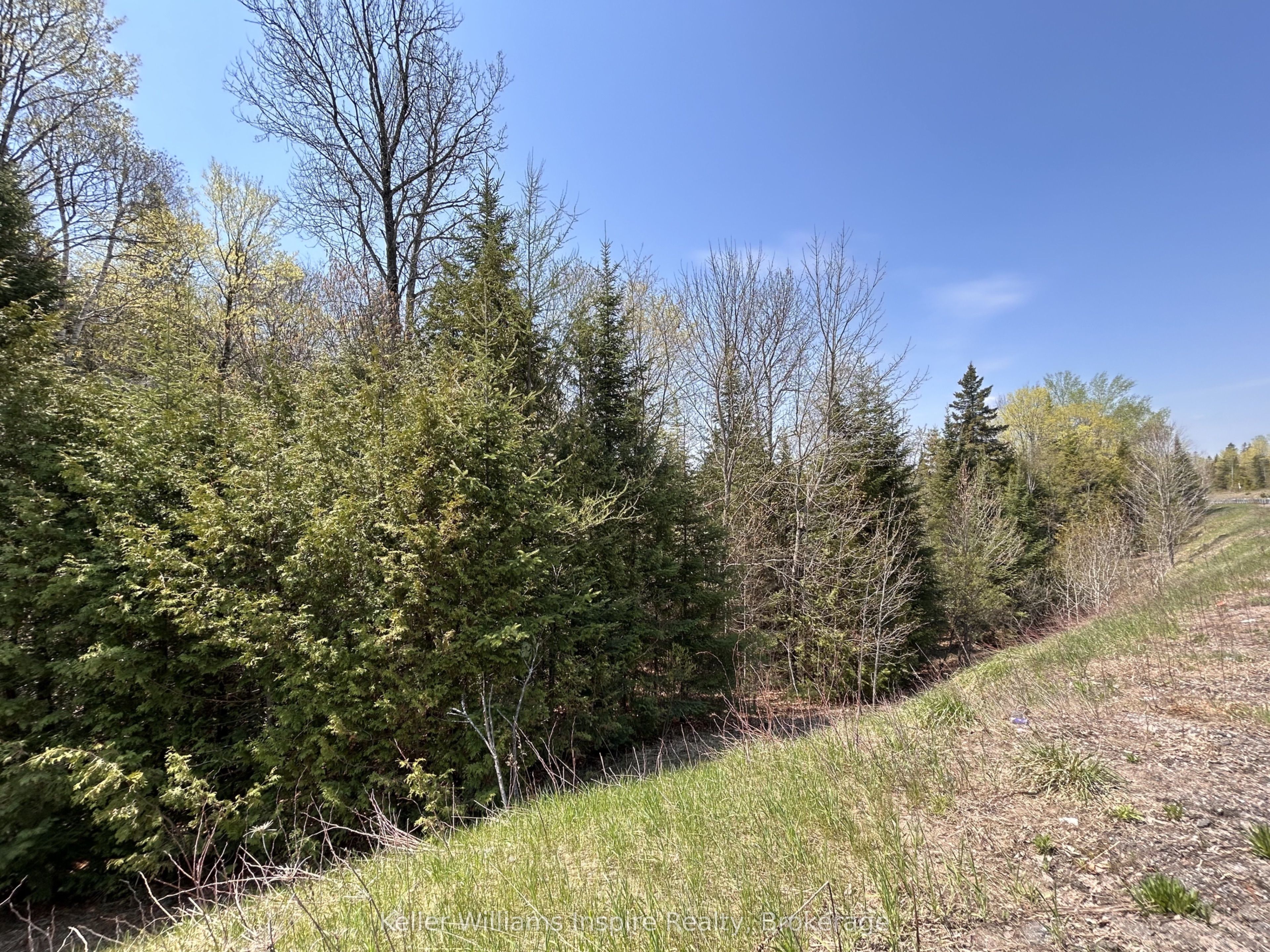 0 Highway 118, Faraday, ON K0L 1C0 photo 4