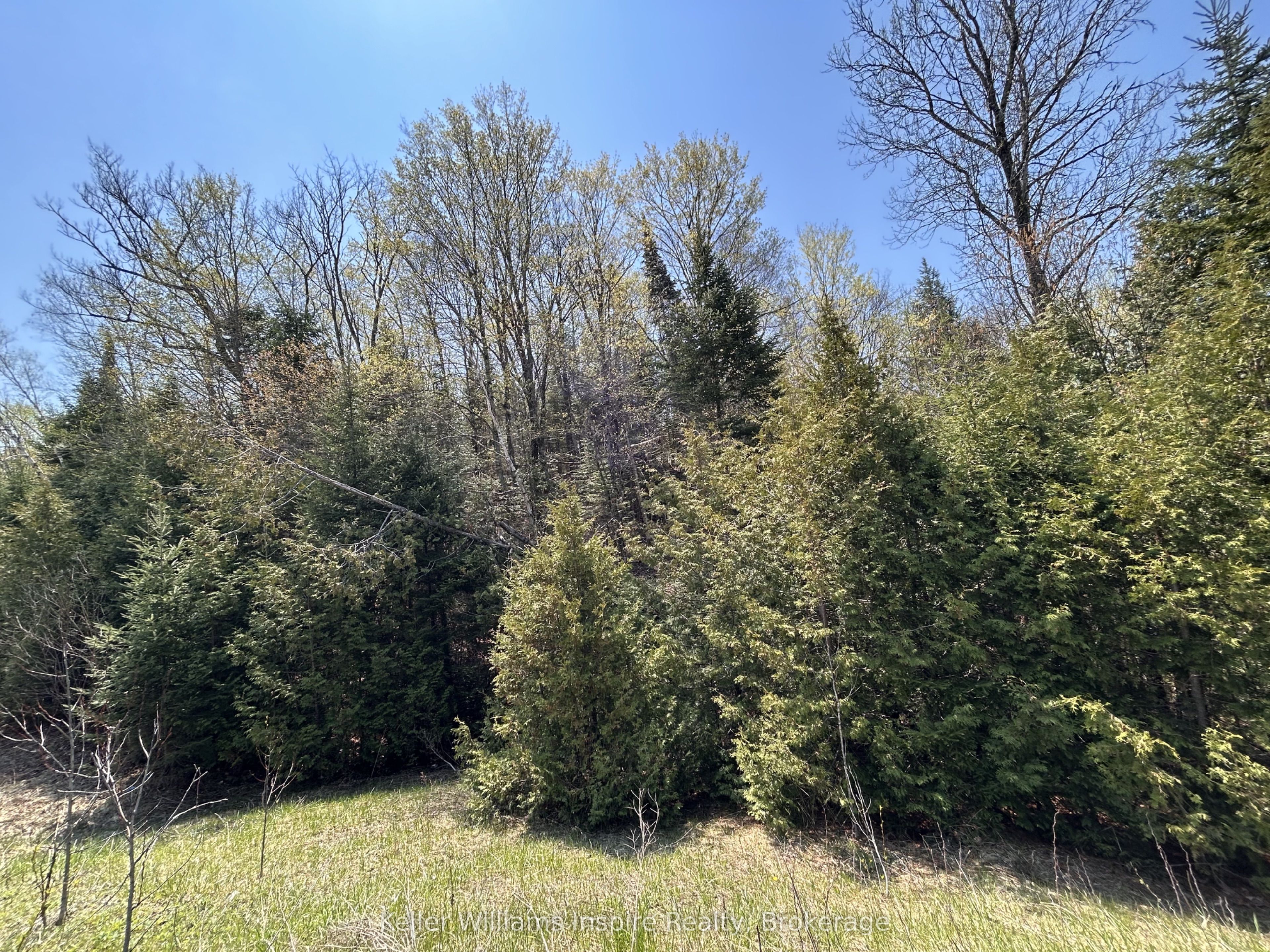 0 Highway 118, Faraday, ON K0L 1C0 photo 5