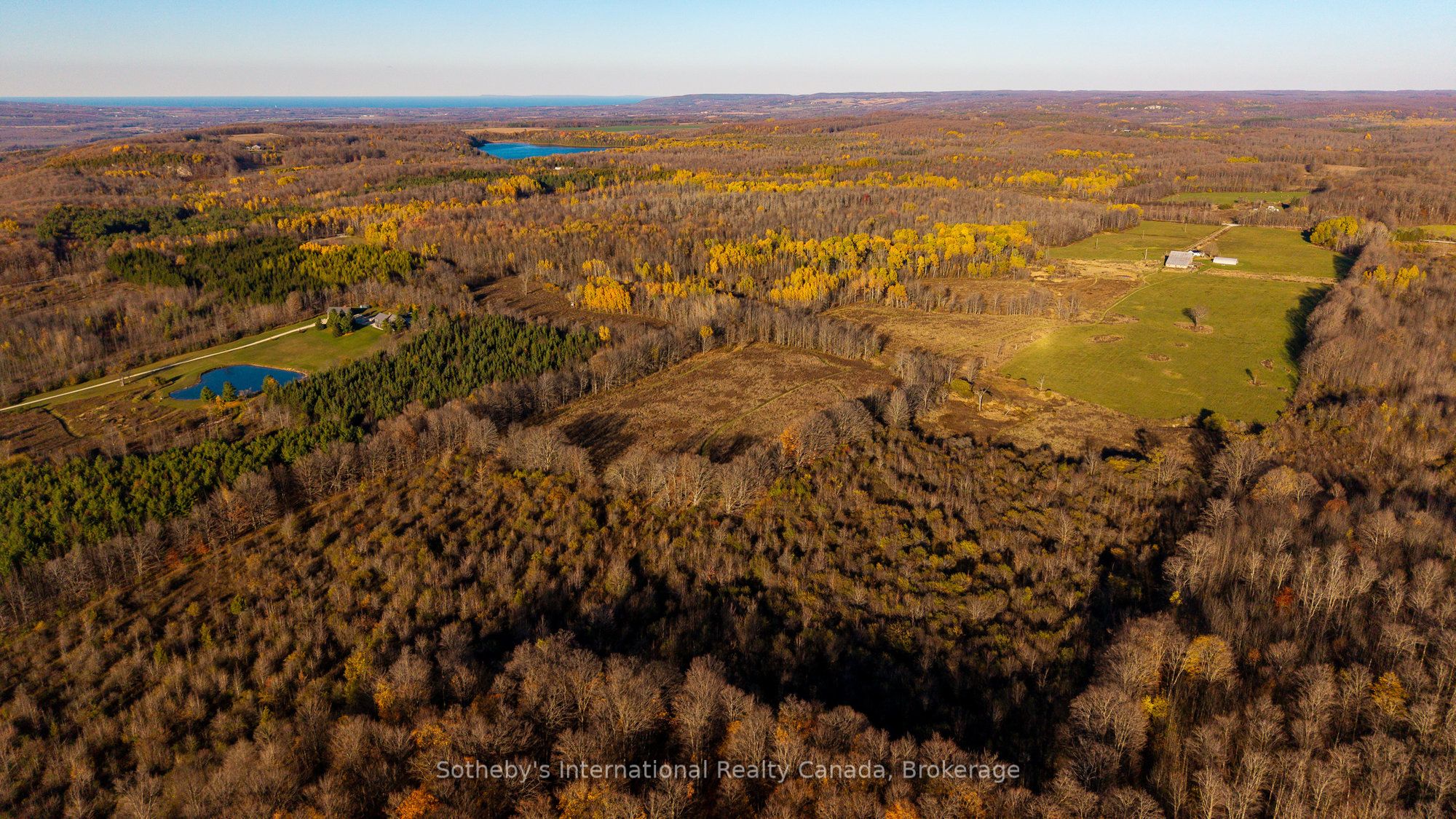 315298 3rd Line A, Grey Highlands, ON N0C 1E0 photo 4