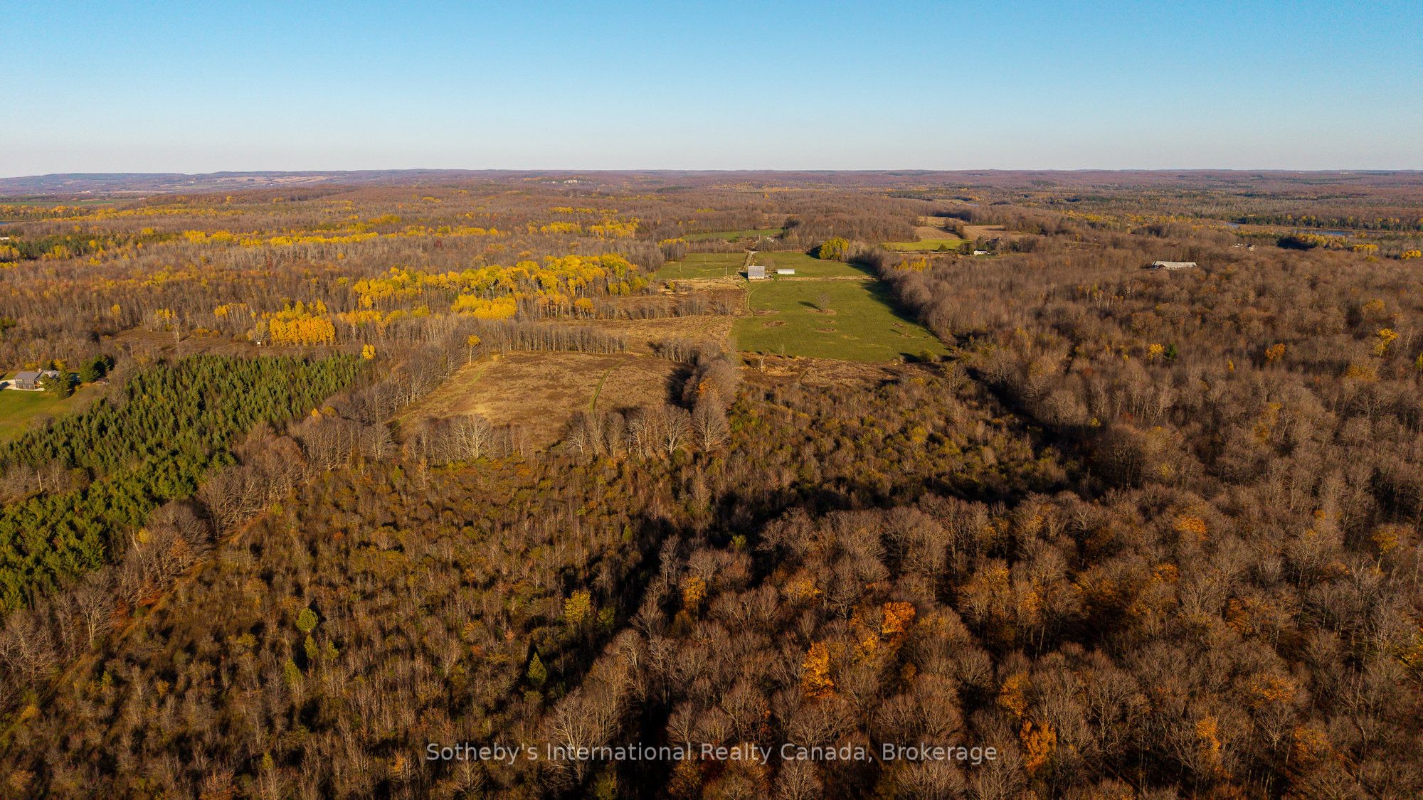315298 3rd Line A, Grey Highlands, ON N0C 1E0 photo 5