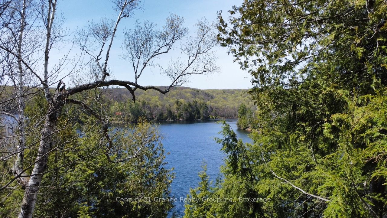 1167 Precipice Road, Dysart et al, ON K0M 1S0 photo 5