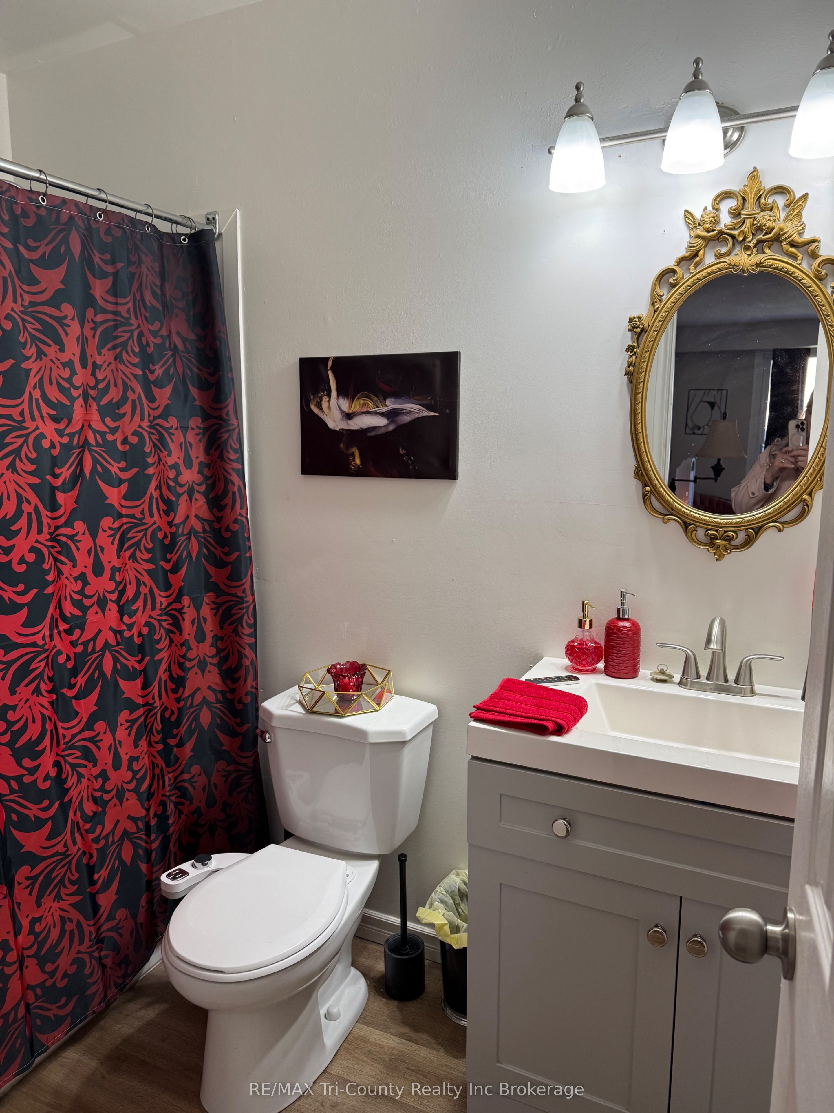 191 Lisgar Avenue 301, Tillsonburg, ON N4G 3L5 photo 5