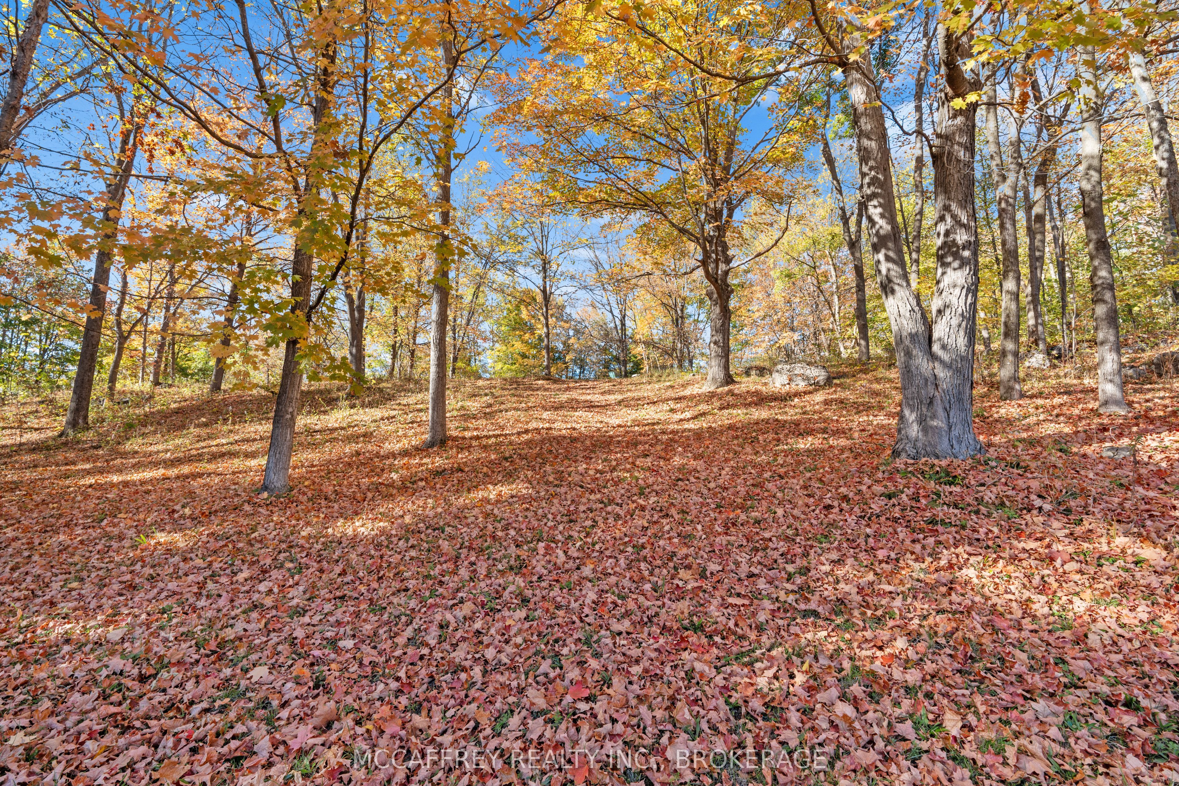 51 Luffman Road, Tweed, ON K0K 2L0