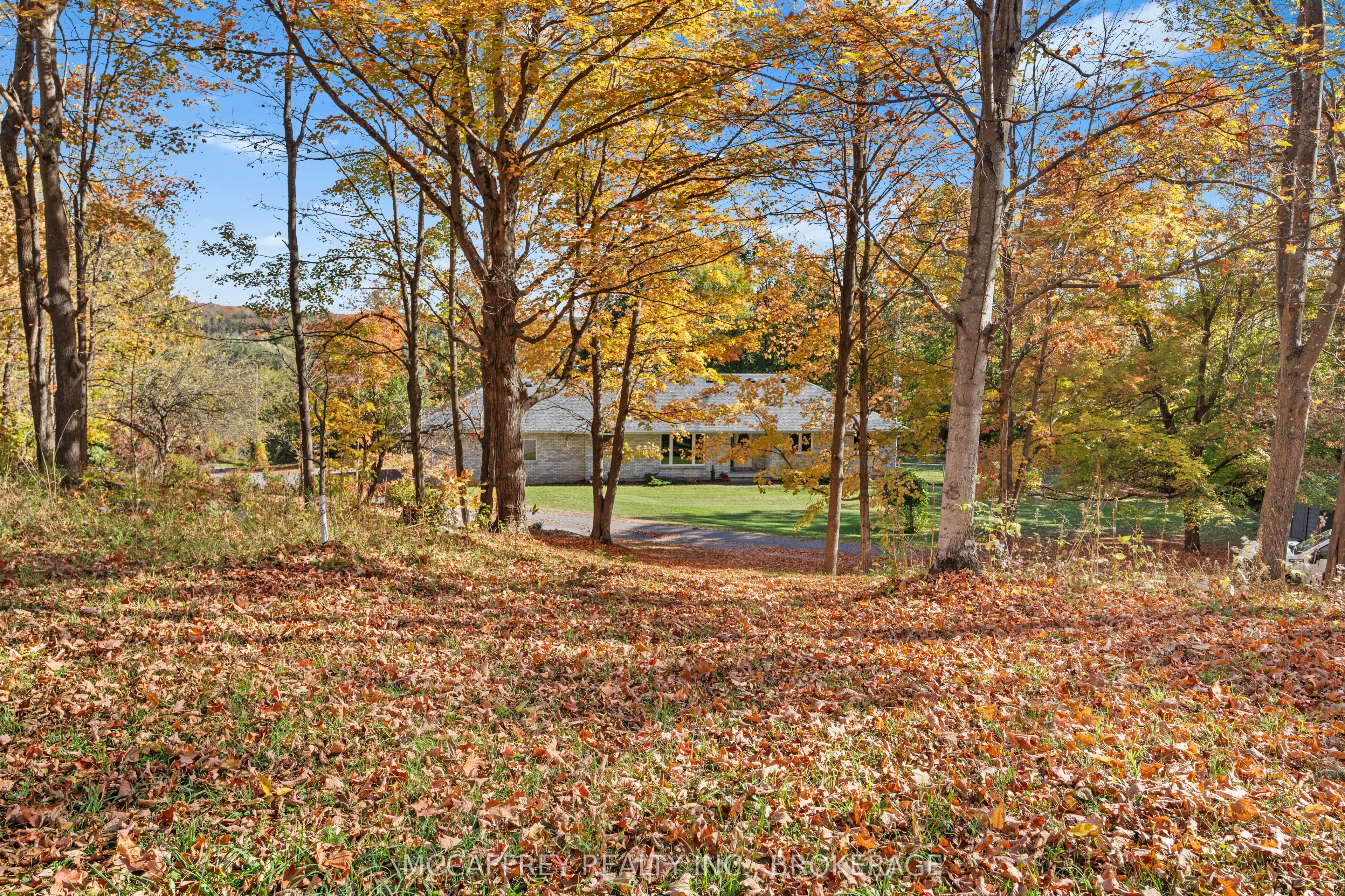 51 Luffman Road, Tweed, ON K0K 2L0 photo 4
