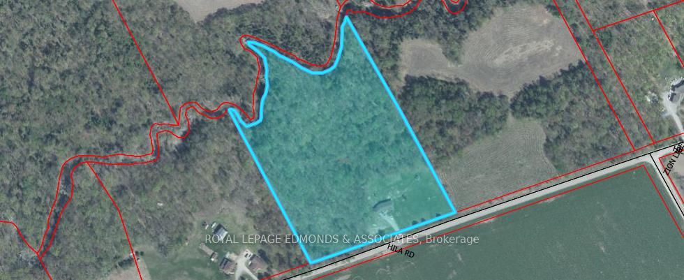 346 Hila Road, Whitewater Region, ON K8A 6W3 photo 2