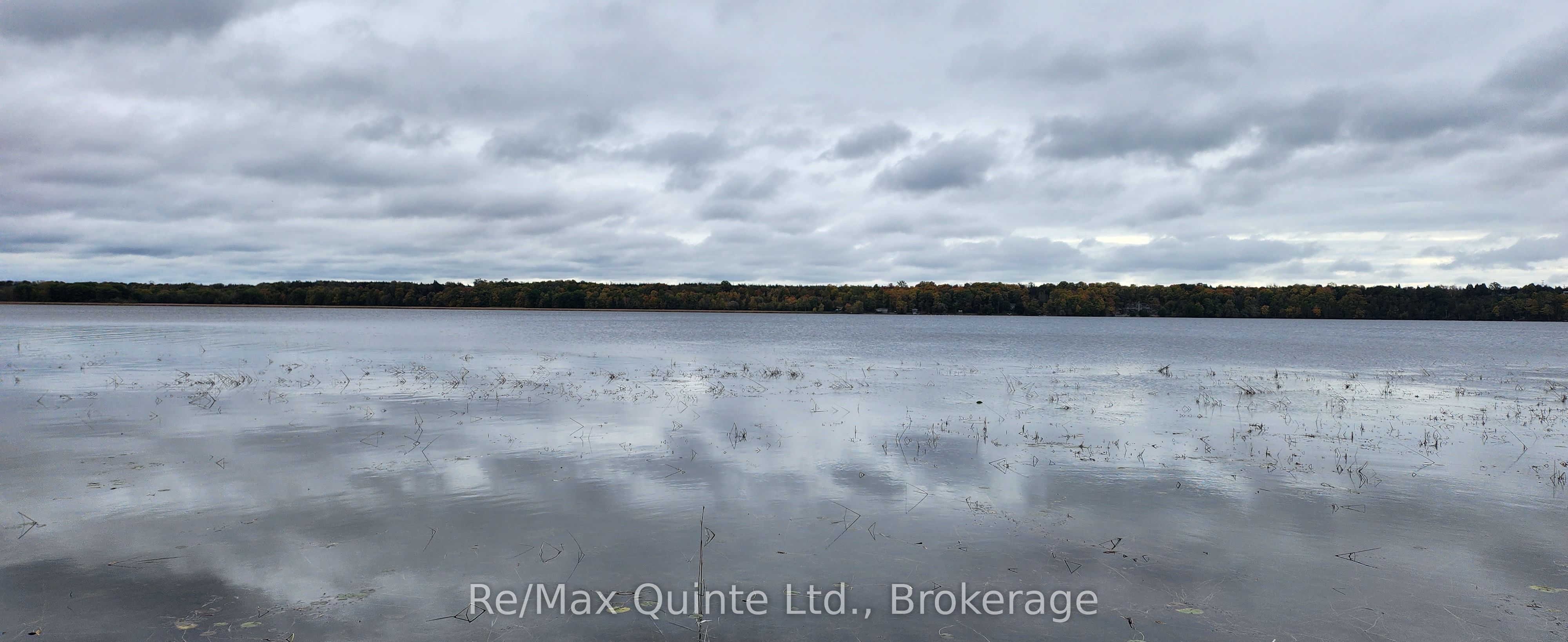 N/A South Big Island, Prince Edward County, ON K0K 1W0 photo 4