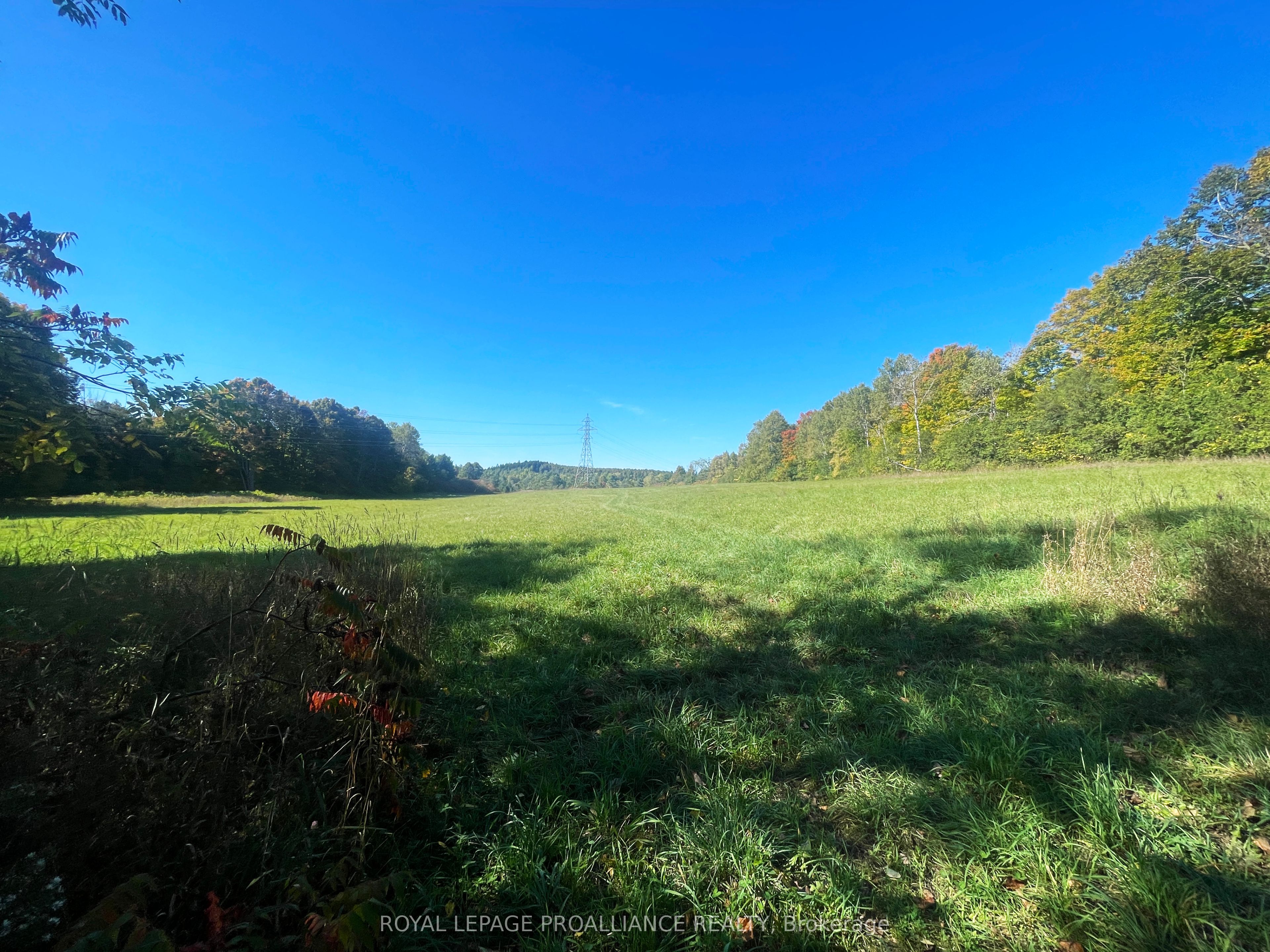 00 Jamieson Road N Lot C, Port Hope, ON L1A 3V8 photo 4