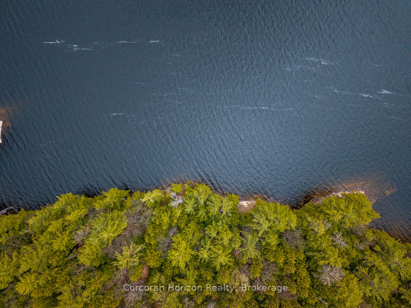 South Lot 18863 KAWAGAMA LAKE NORTH SHORE N/A, Algonquin Highlands, ON P0A 1E0 photo 3