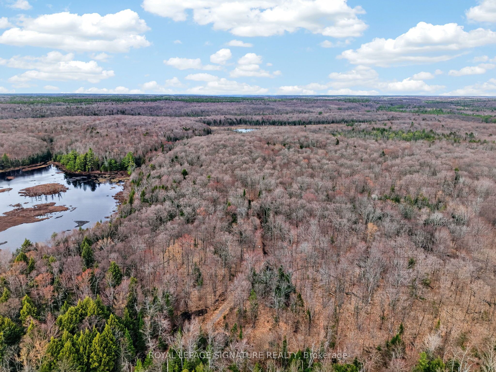 1170 Peter Road, Bracebridge, ON P1L 1X3 photo 5