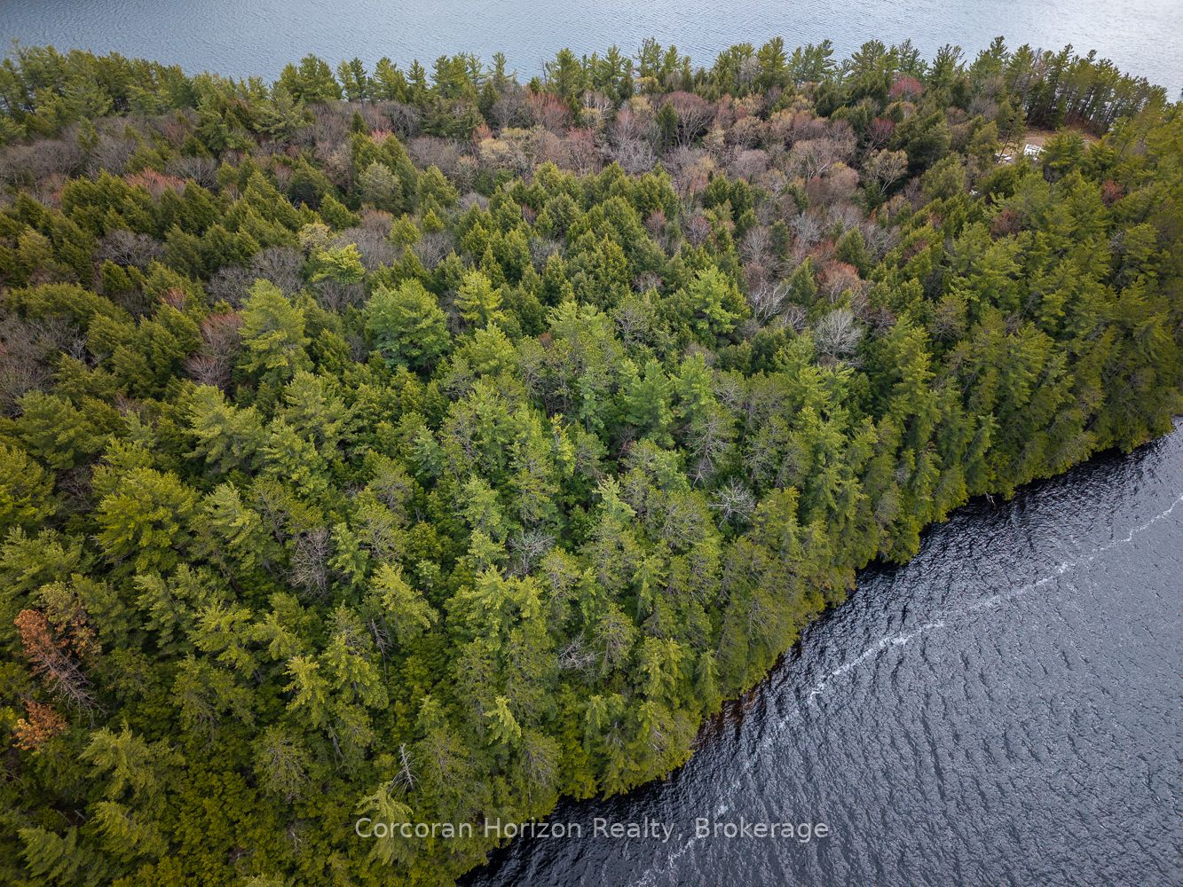 North Lot 18863 Kawagama Lake North Shore Drive, Algonquin Highlands, ON P0A 1E0 photo 3