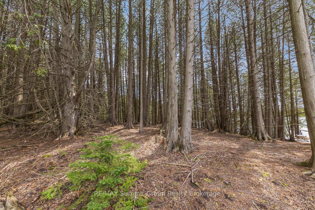 PT LT 2 Lakewood Lane, Grey Highlands, ON N0C 1H0 photo 5