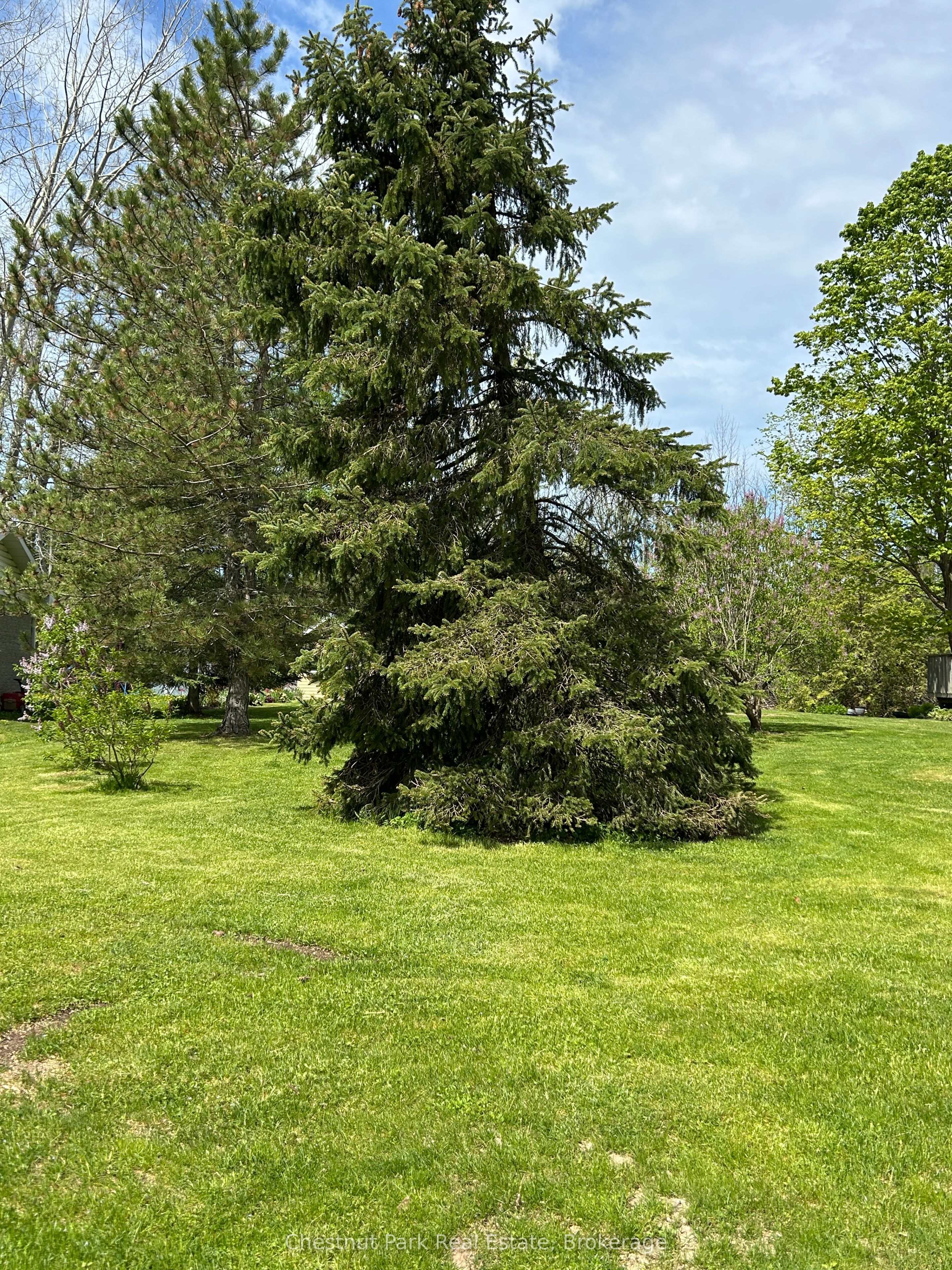 13 Pollard Drive, Meaford, ON N4L 1A7 photo 2