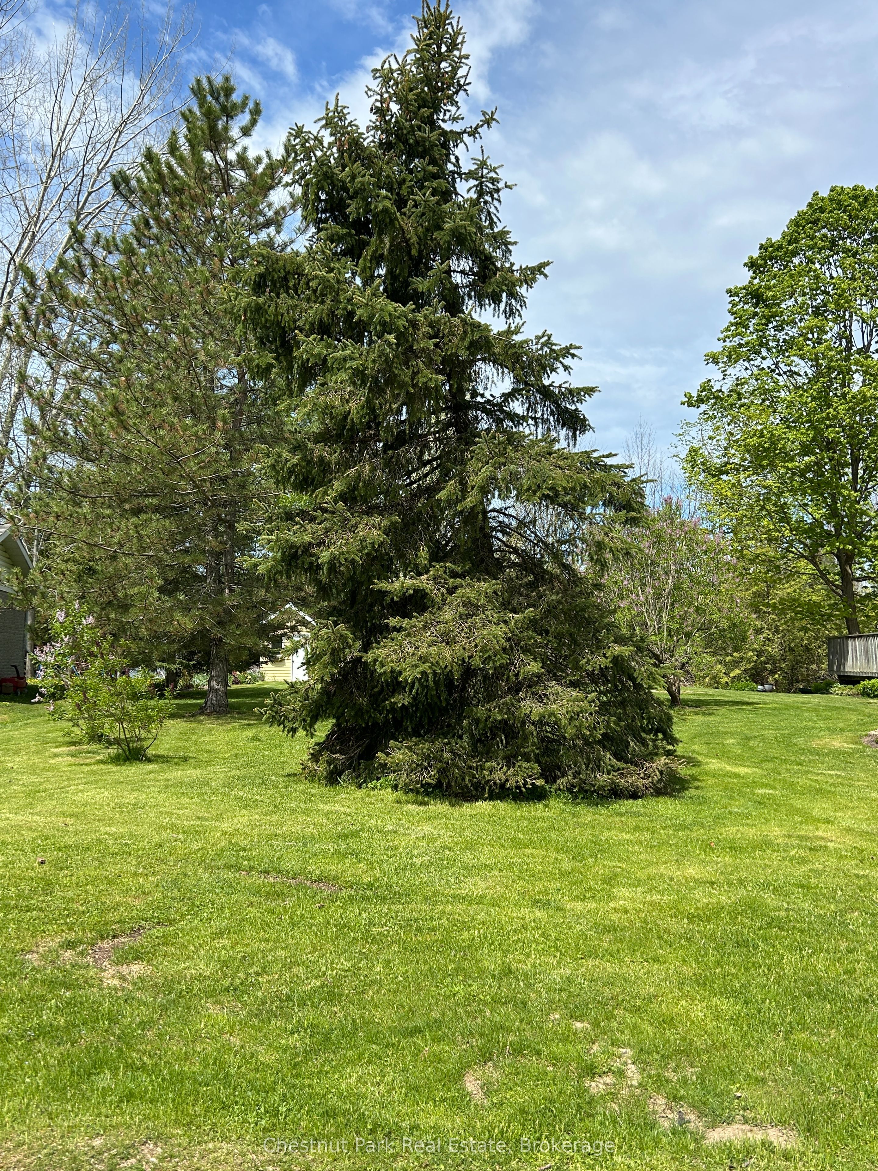 13 Pollard Drive, Meaford, ON N4L 1A7 photo 3