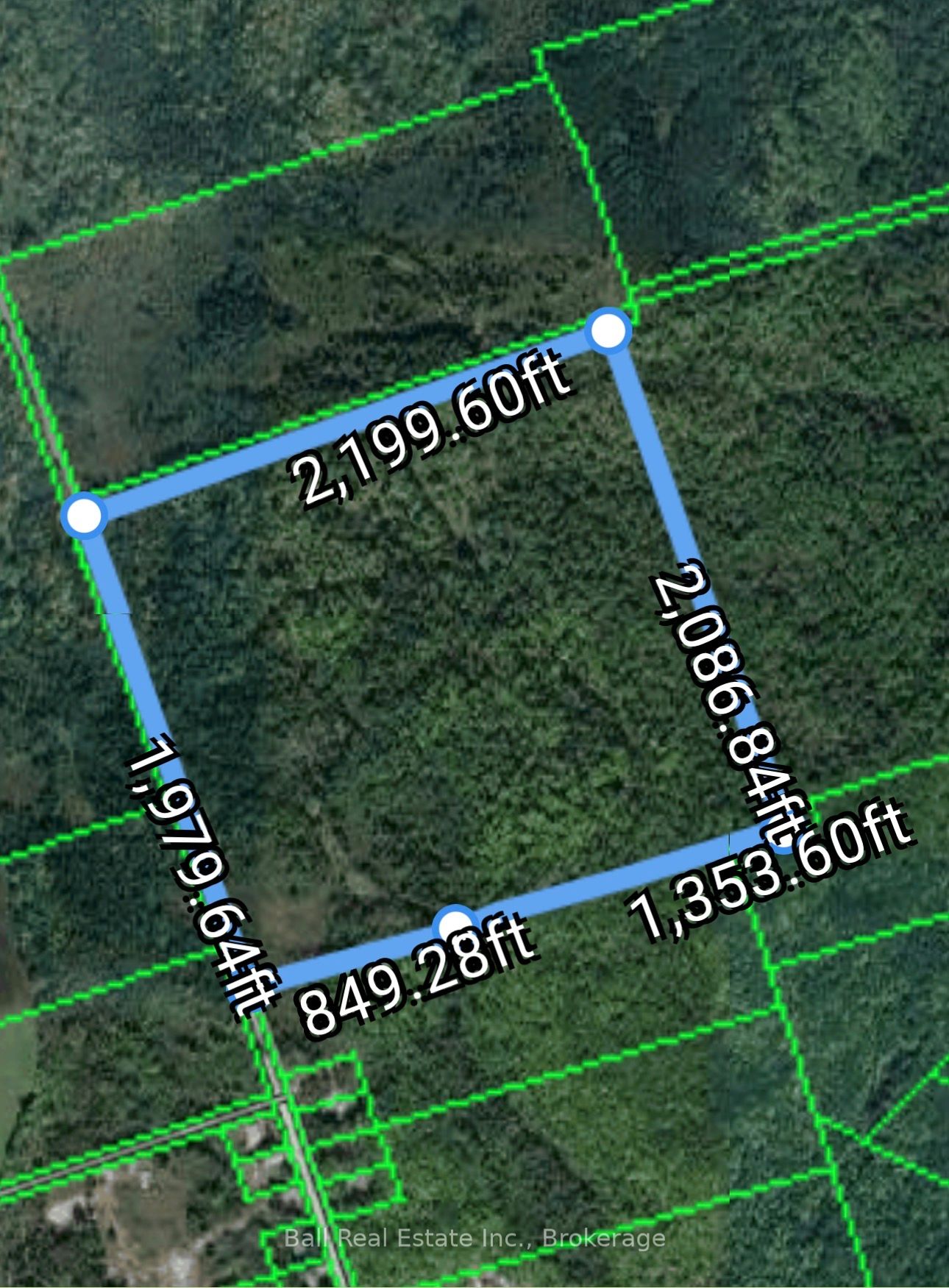 174 Moon Line Road N, Trent Lakes, ON K0M 1A0 photo 5